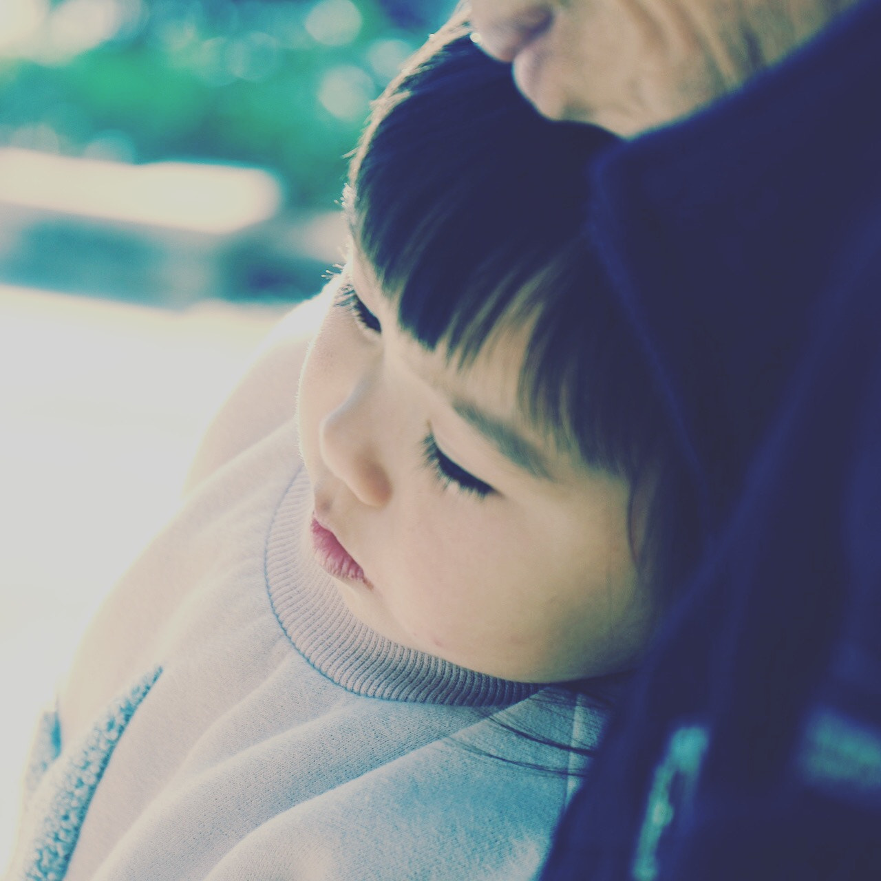 Canon EF 24-70mm F4L IS USM sample photo. 依偎 photography