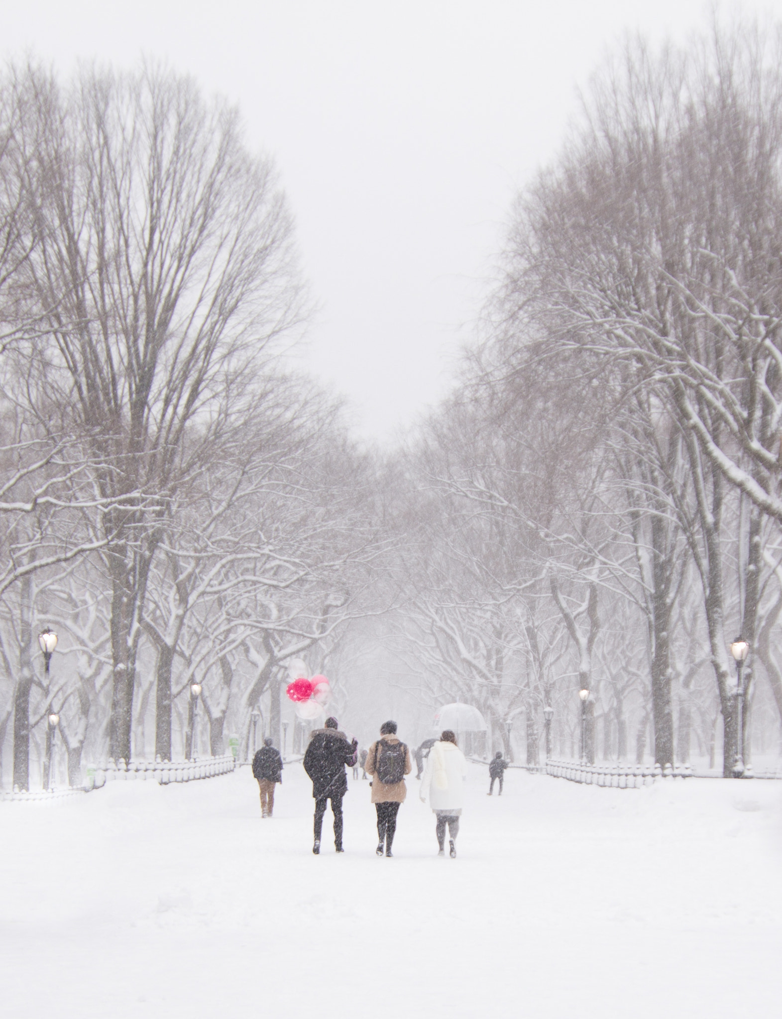 Canon EOS 700D (EOS Rebel T5i / EOS Kiss X7i) sample photo. Balloons in the snow photography