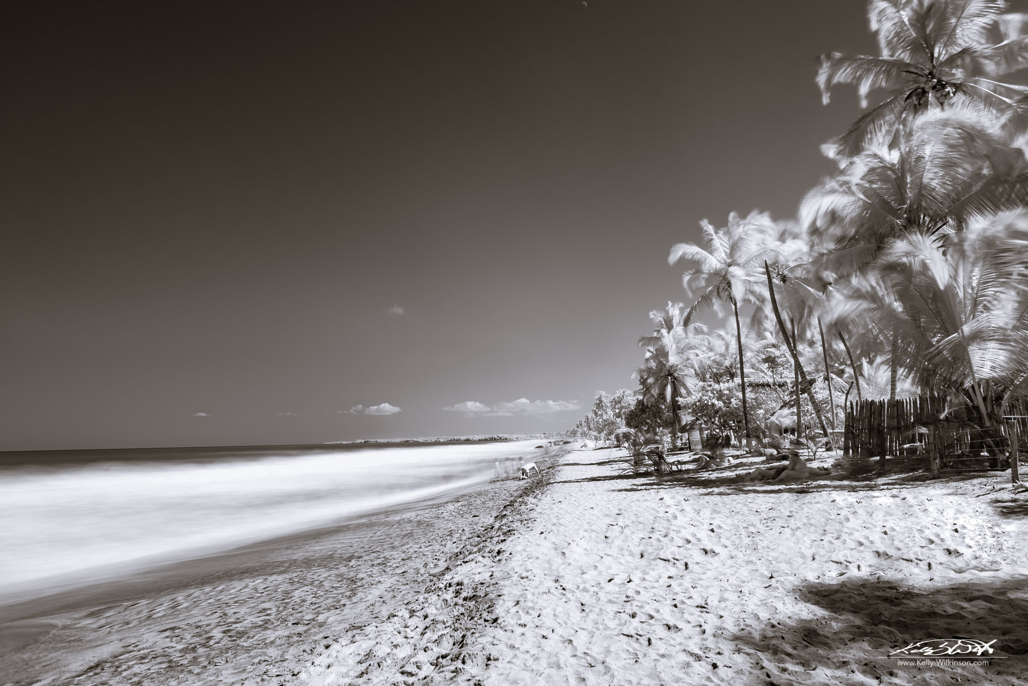 Nikon AF-S Nikkor 24mm F1.8G ED sample photo. Irrrr fun photography