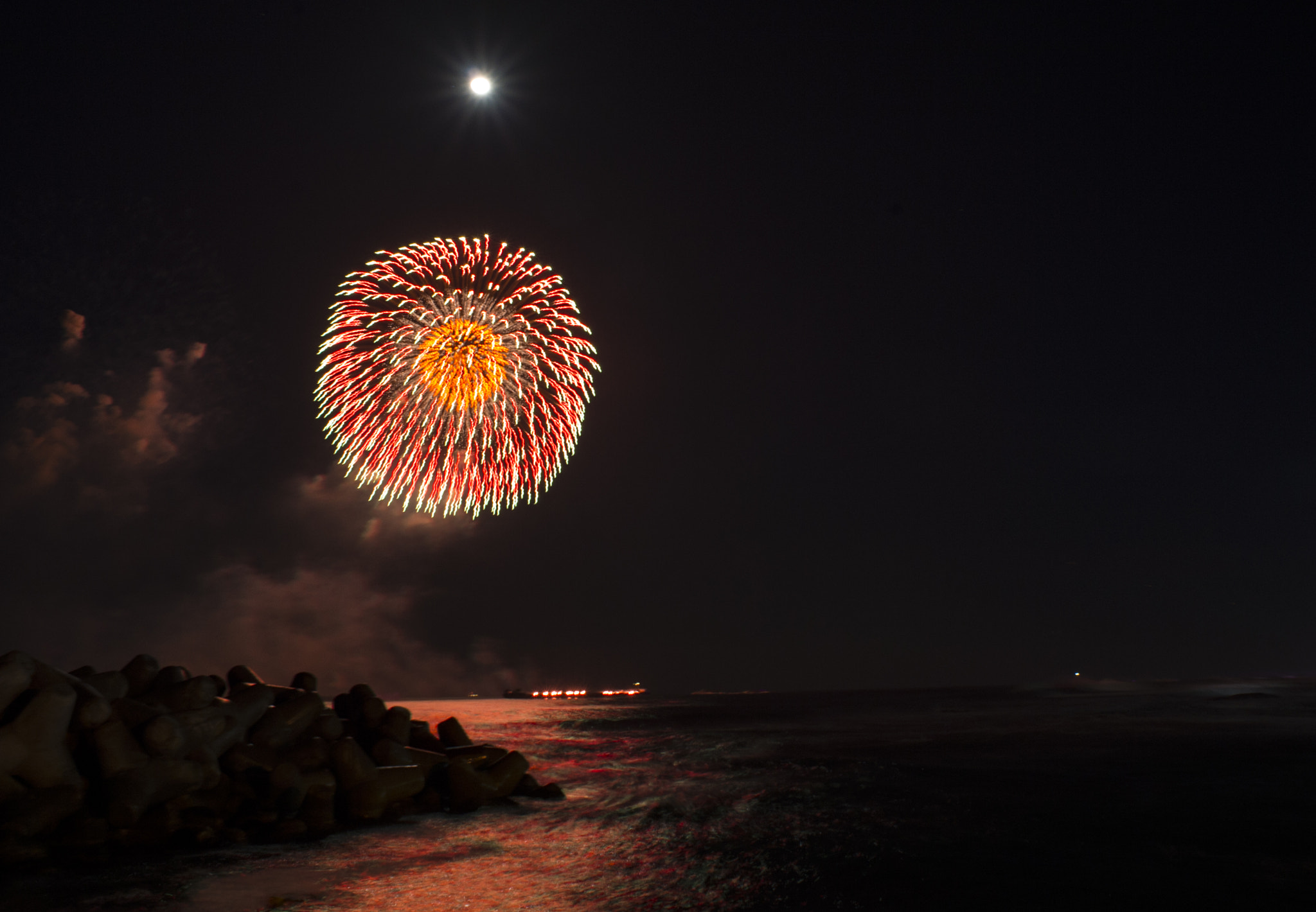 Nikon D4 sample photo. World fireworks festival photography