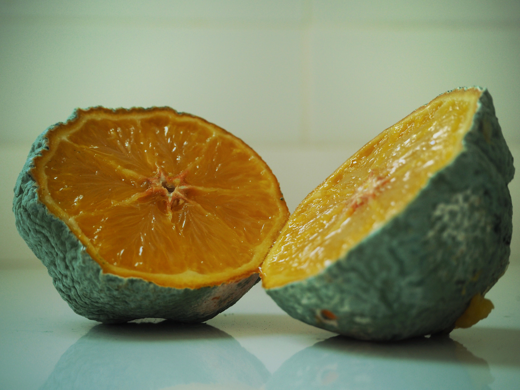 Olympus PEN-F sample photo. O r a n g e photography