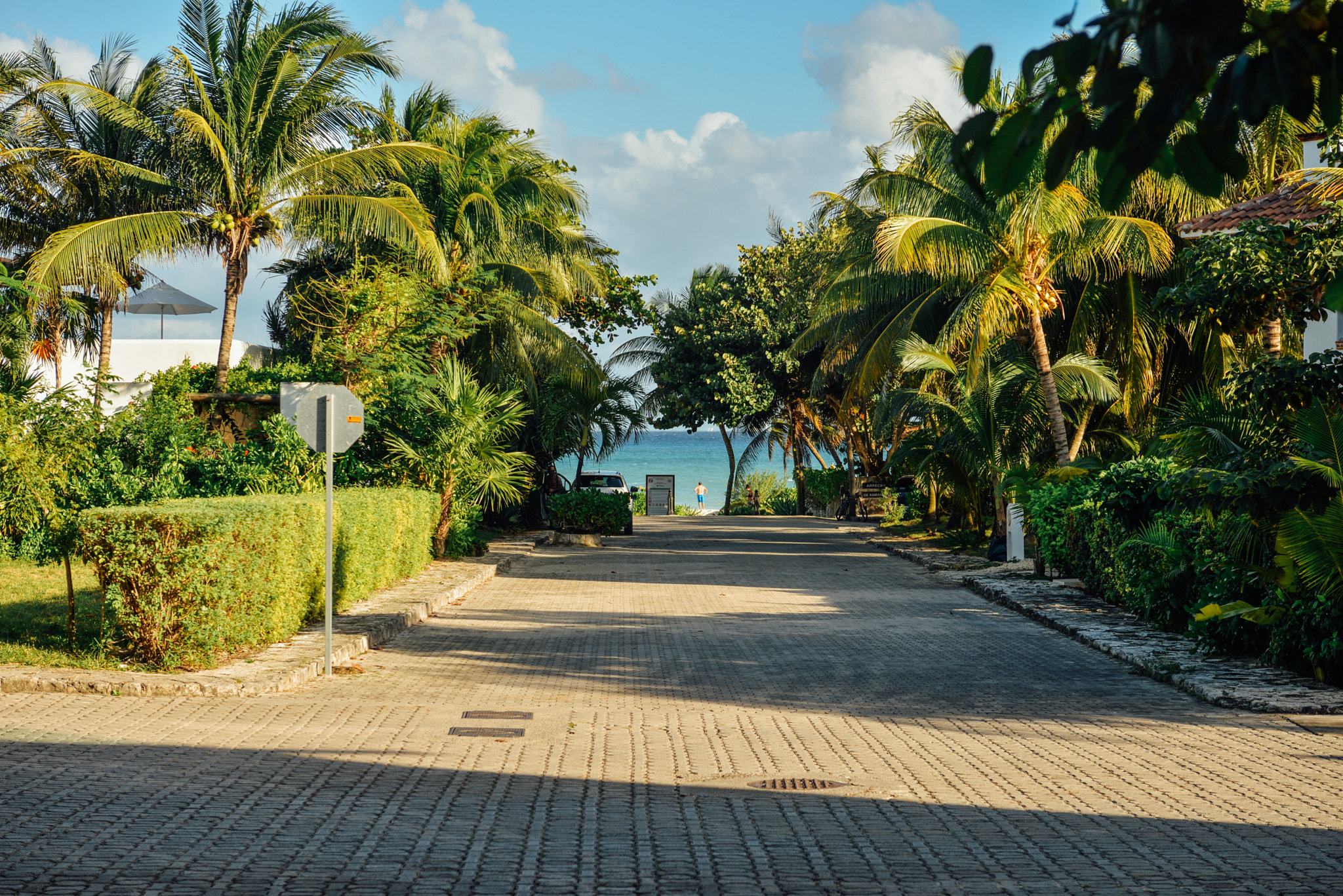 Nikon AF-S Nikkor 28-70mm F2.8 ED-IF sample photo. Riviera maya, mexico photography