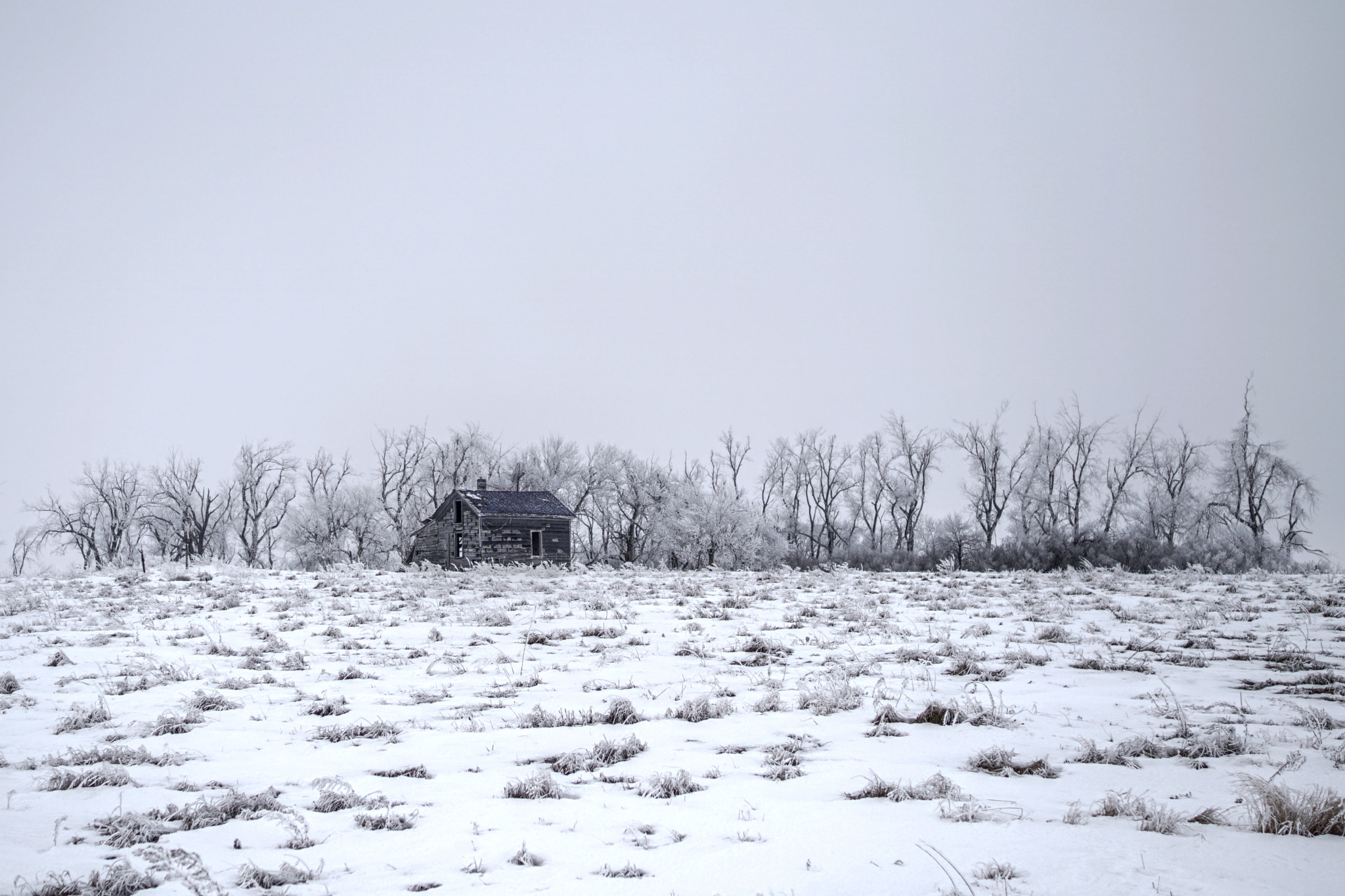 Sony a6300 sample photo. Grey day photography