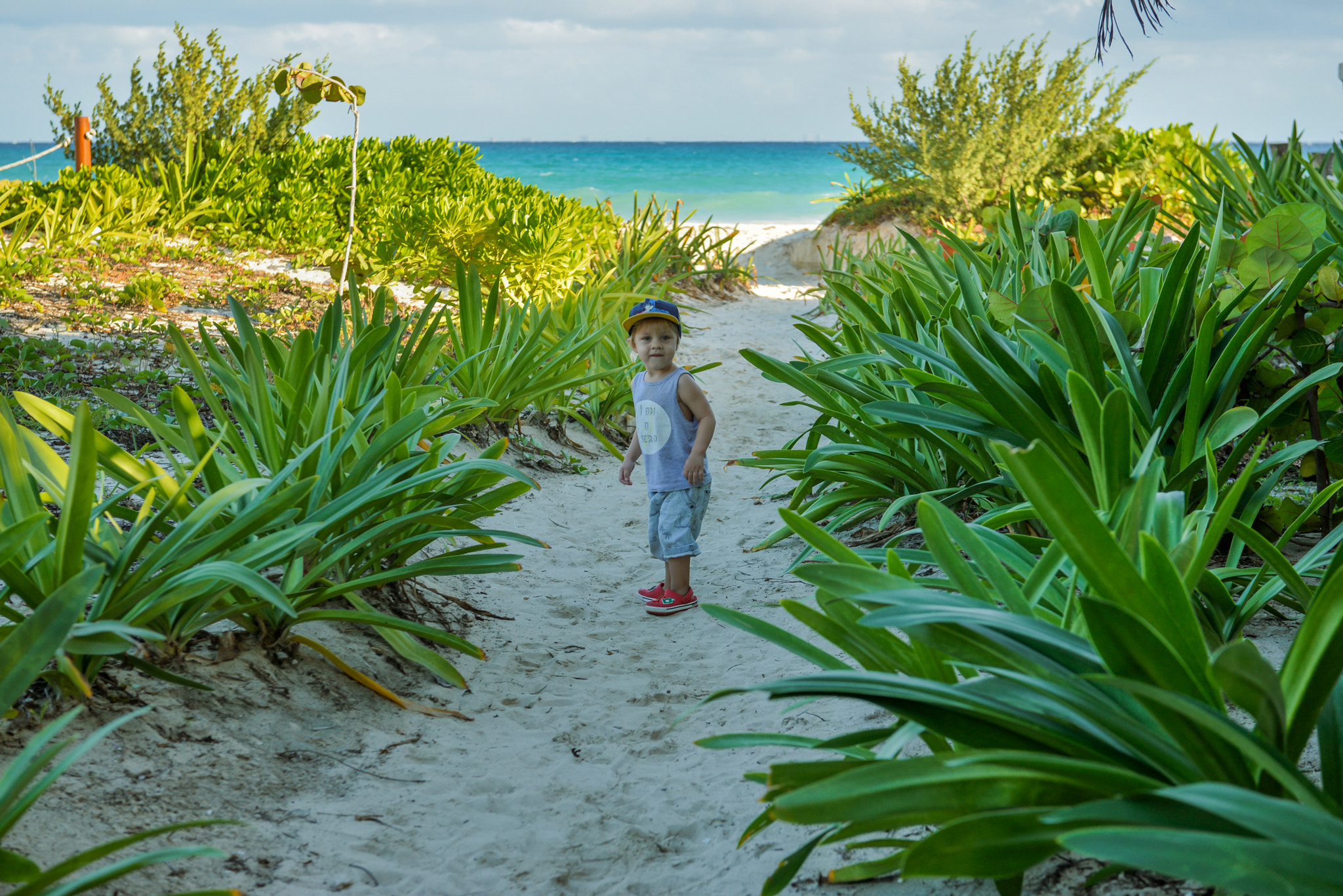 Nikon AF-S Nikkor 28-70mm F2.8 ED-IF sample photo. Riviera maya, mexico photography