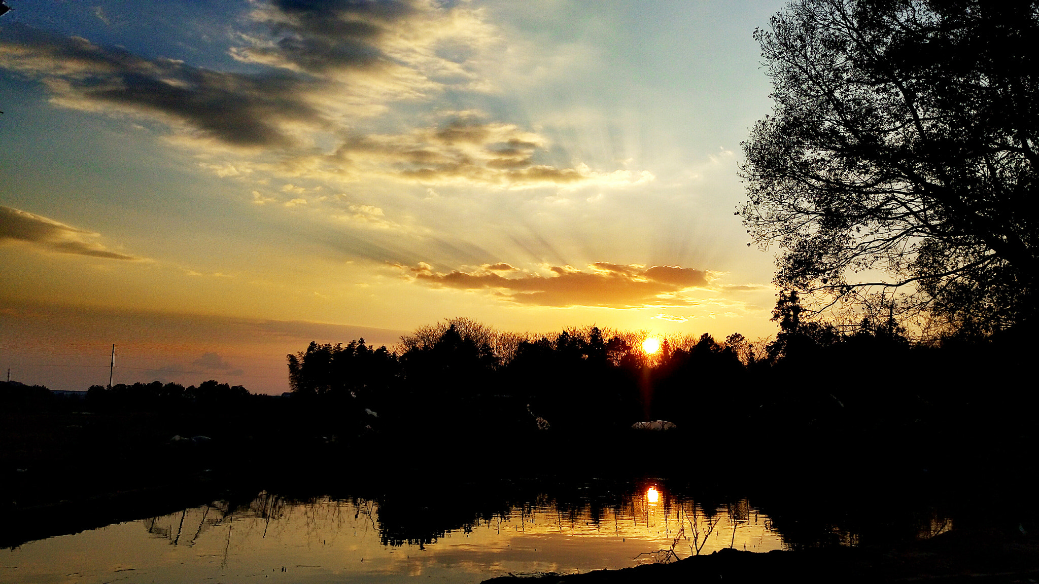 Meizu MX5 sample photo. 夕阳 photography