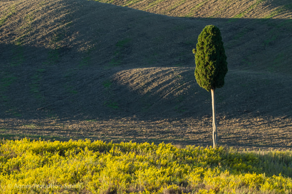 Canon EOS 7D sample photo. Tuscany, italy photography