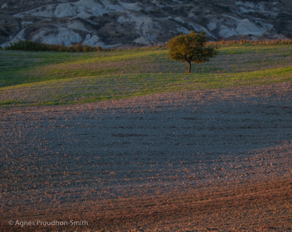 Canon EOS 7D sample photo. Tuscany, italy photography