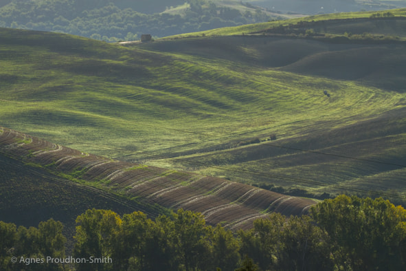 Canon EOS 7D sample photo. Tuscany, italy photography