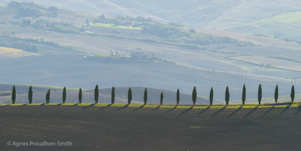 Canon EOS 7D sample photo. Tuscany, italy photography