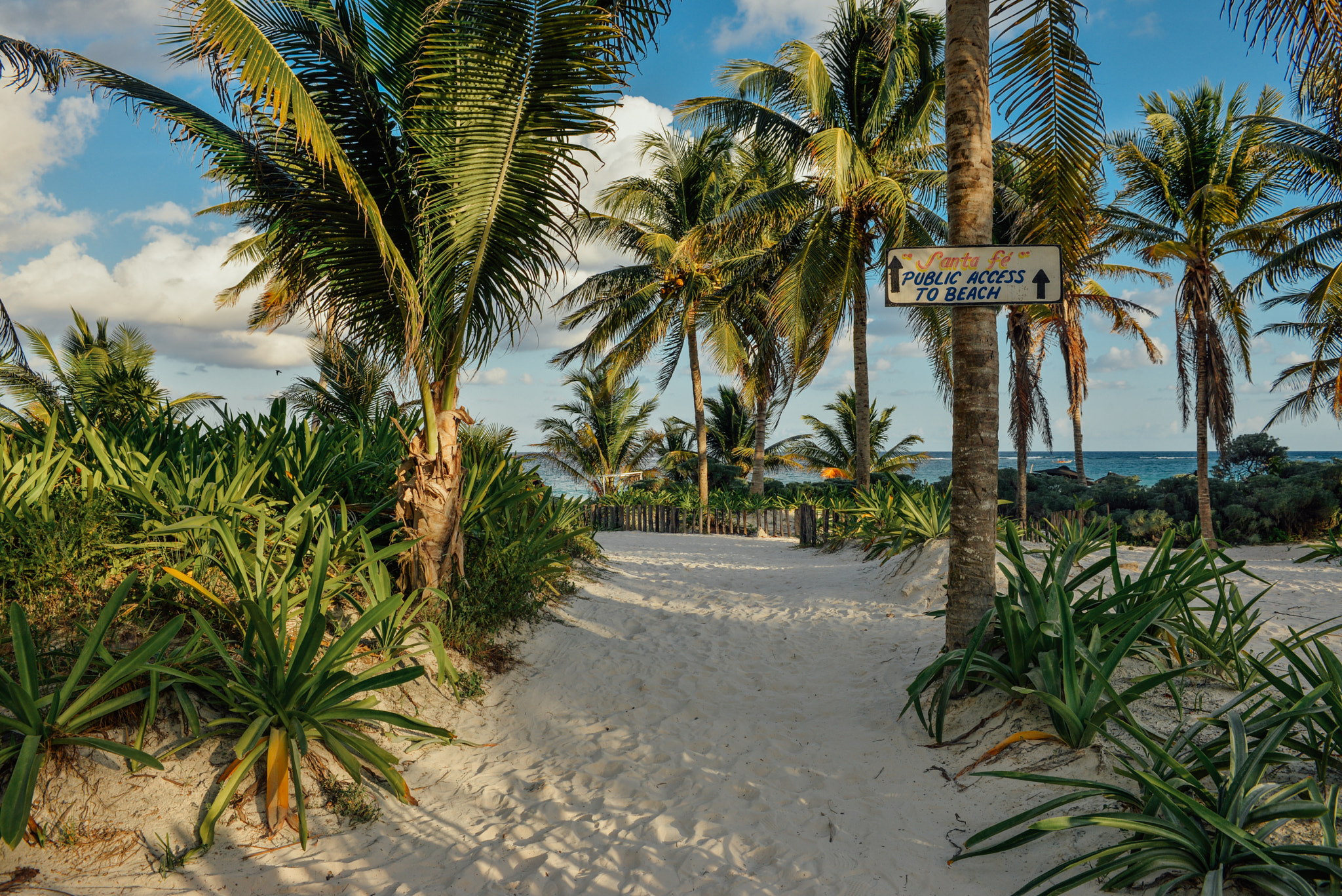 Nikon AF-S Nikkor 28-70mm F2.8 ED-IF sample photo. Riviera maya, mexico photography