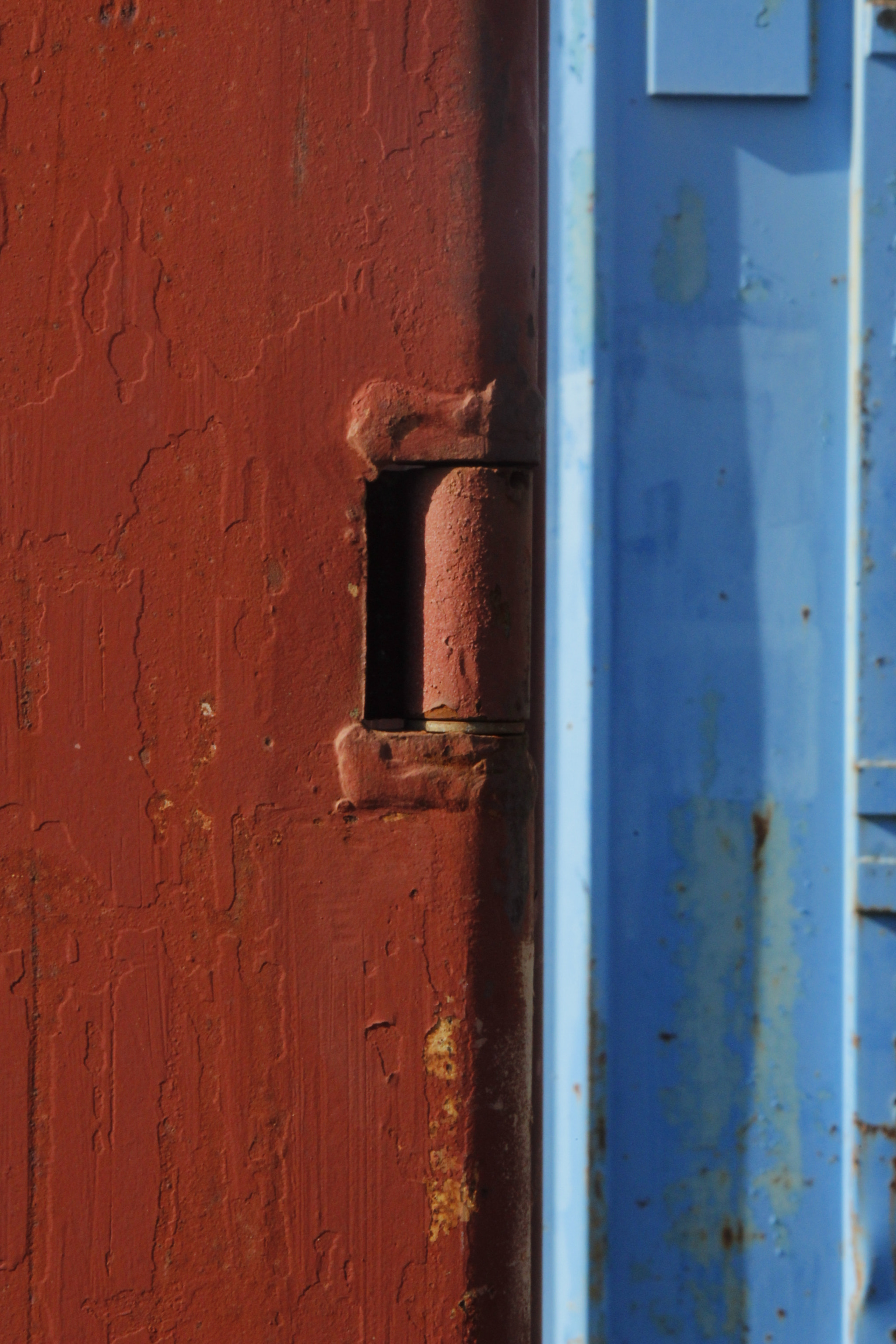 Canon EF 28-90mm f/4-5.6 sample photo. Clashing colour photography