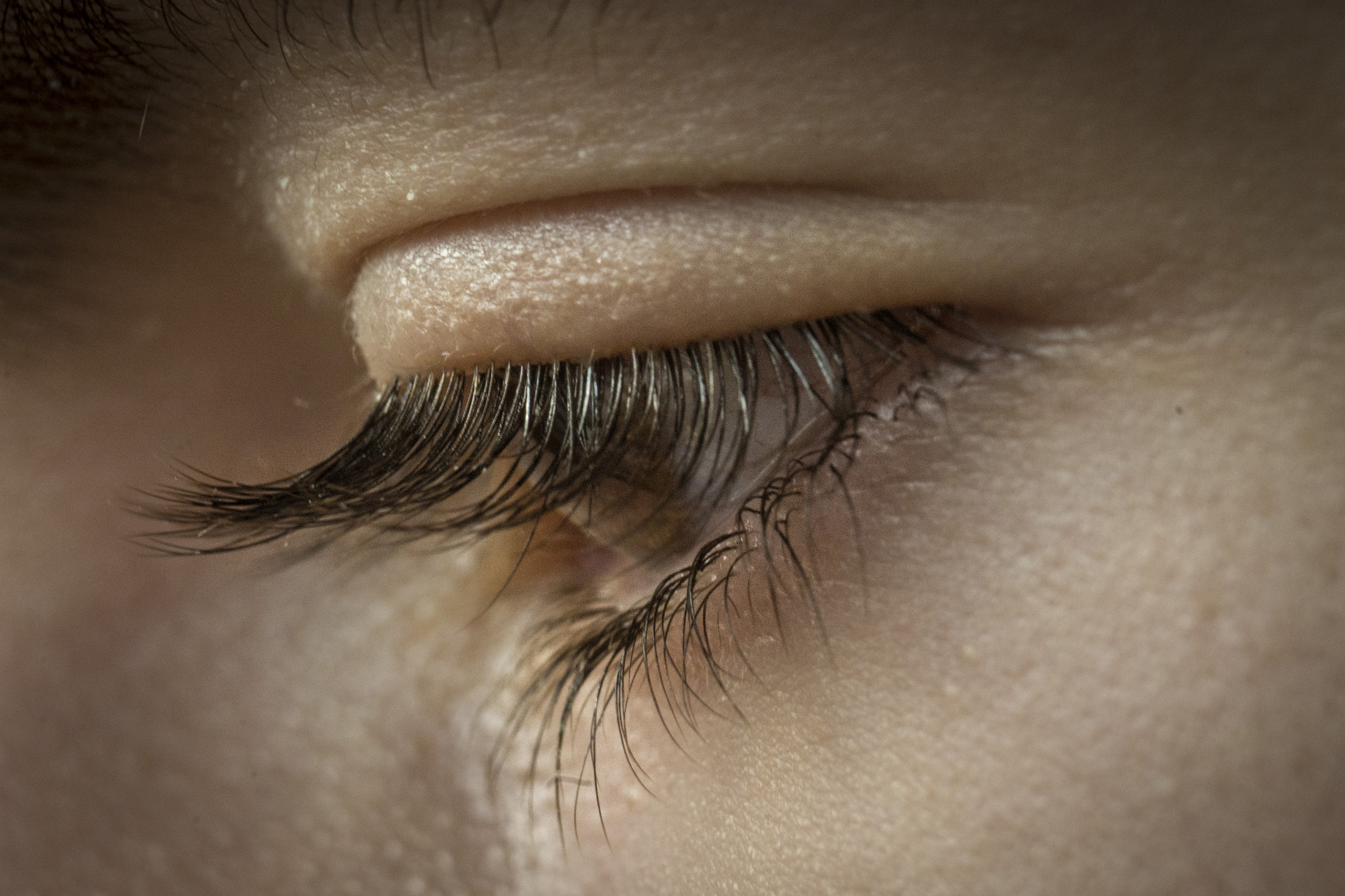 Nikon D600 sample photo. Social pelos photography