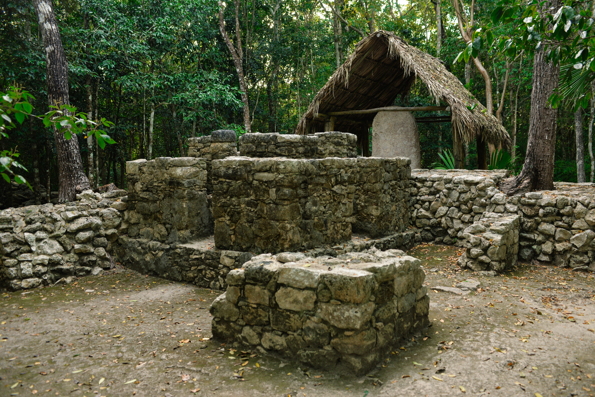 Nikon AF-S Nikkor 28-70mm F2.8 ED-IF sample photo. Riviera maya, mexico photography