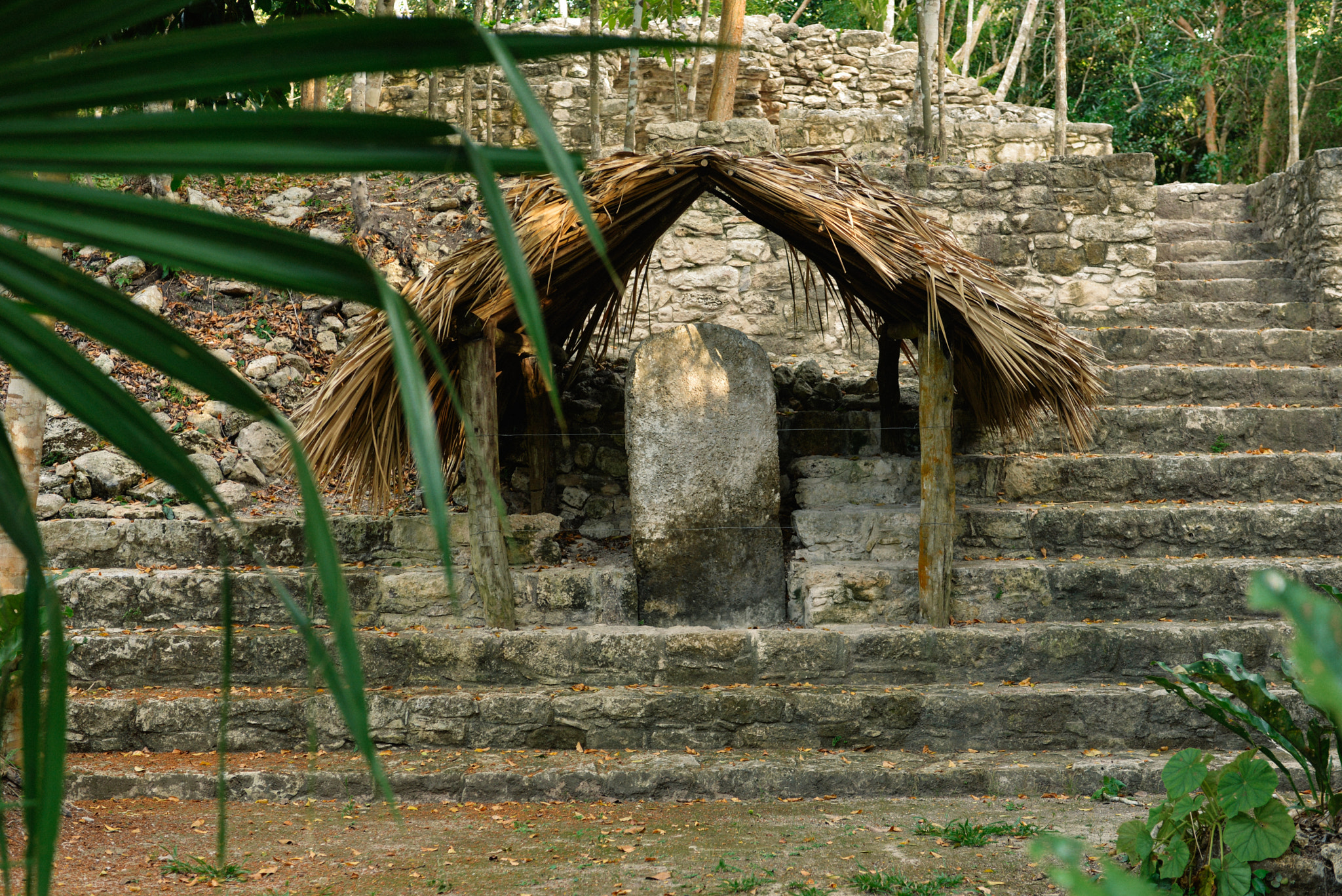 Nikon AF-S Nikkor 28-70mm F2.8 ED-IF sample photo. Riviera maya, mexico photography