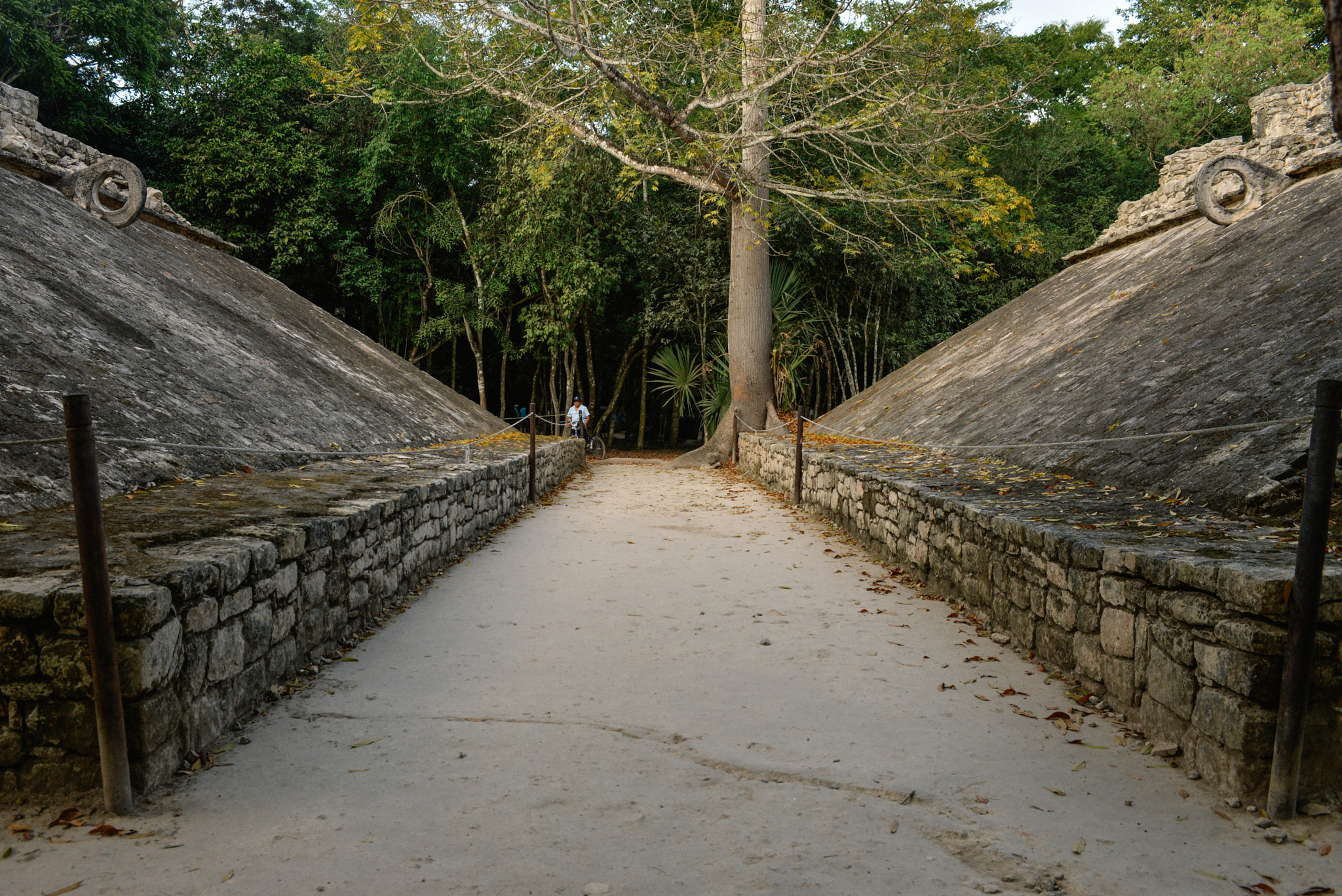 Nikon AF-S Nikkor 28-70mm F2.8 ED-IF sample photo. Riviera maya, mexico photography