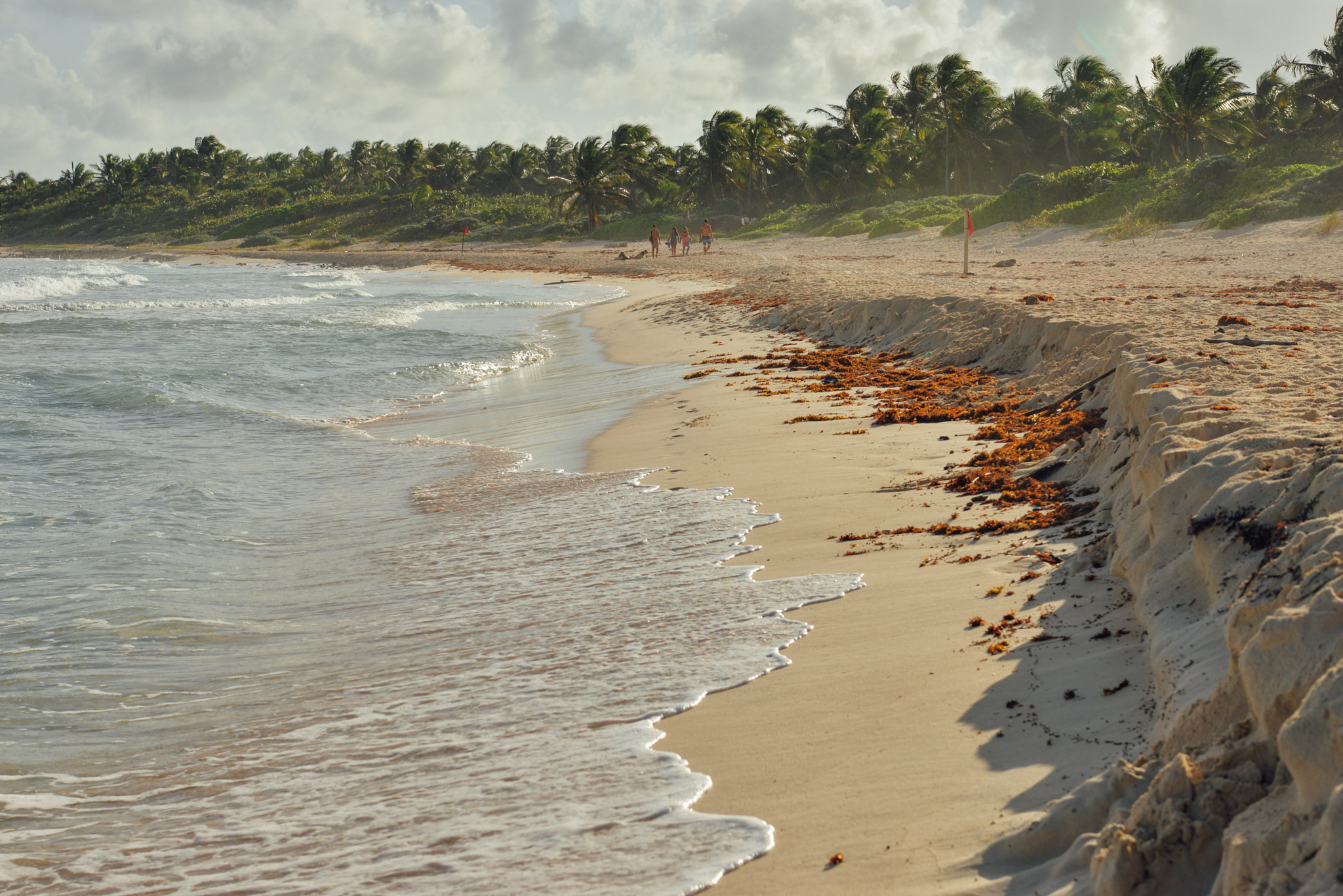 Nikon D610 sample photo. Riviera maya, mexico photography