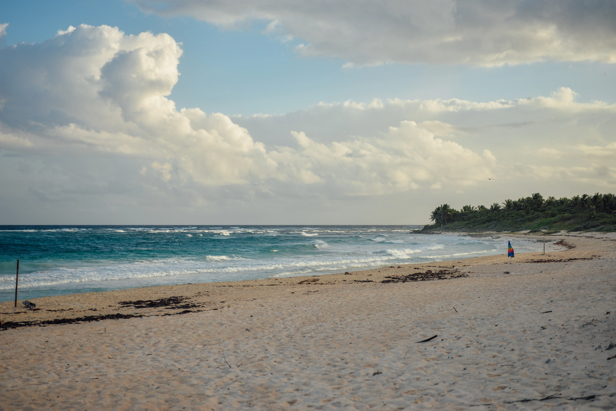 Nikon AF-S Nikkor 28-70mm F2.8 ED-IF sample photo. Riviera maya, mexico photography