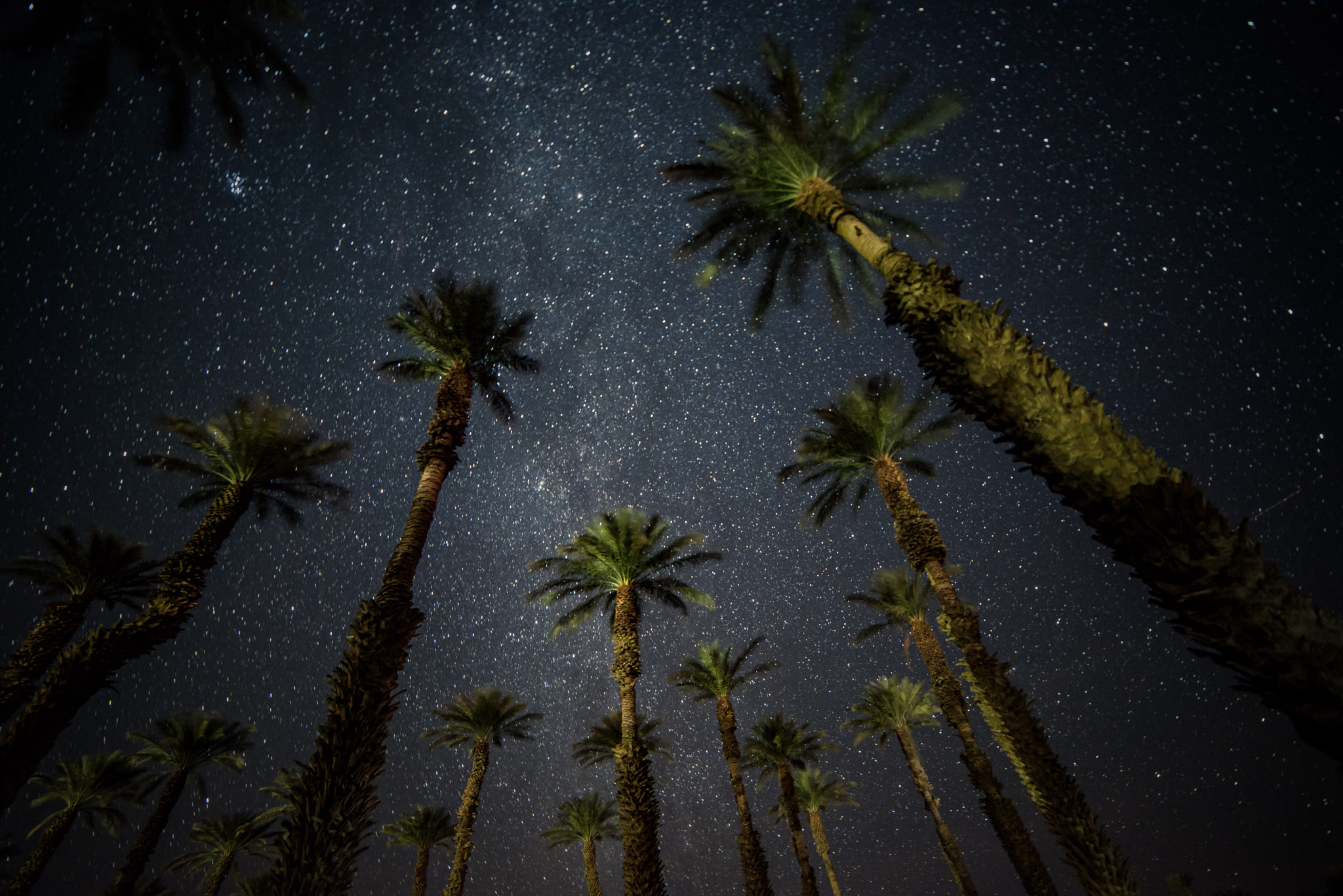 Samyang 14mm F2.8 ED AS IF UMC sample photo. Milky way photography