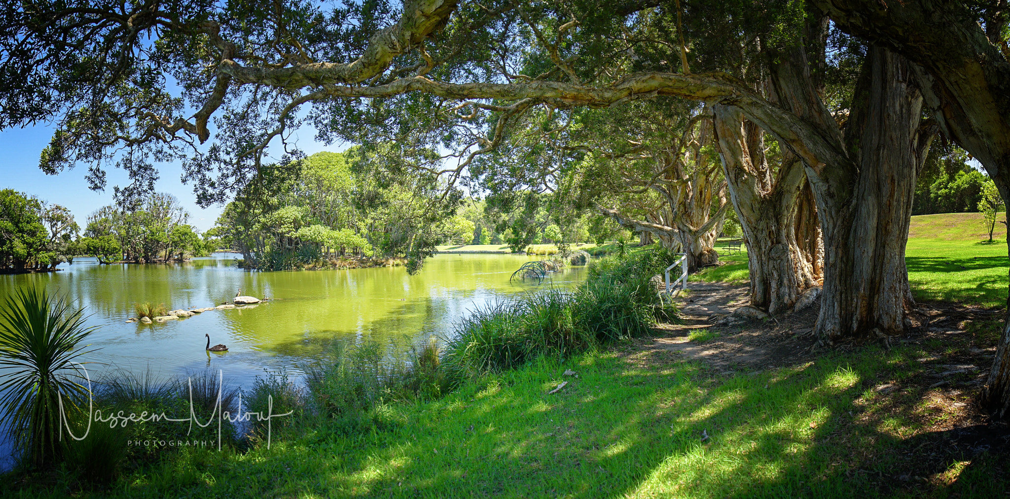 Sony a6000 sample photo. Centennial park pano photography