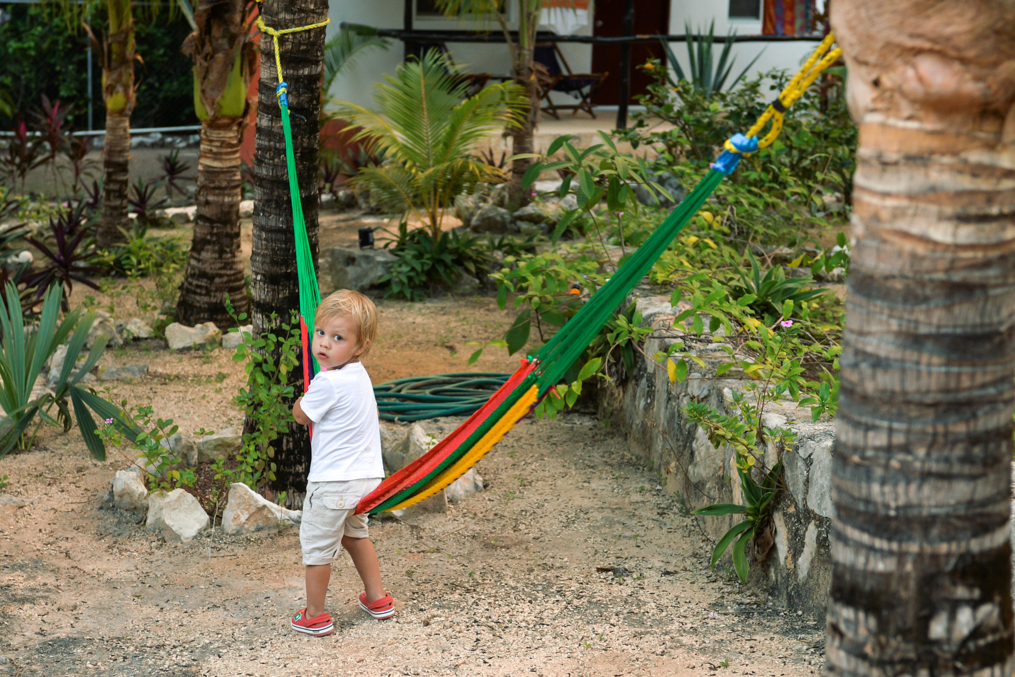 Nikon AF-S Nikkor 28-70mm F2.8 ED-IF sample photo. Riviera maya, mexico photography