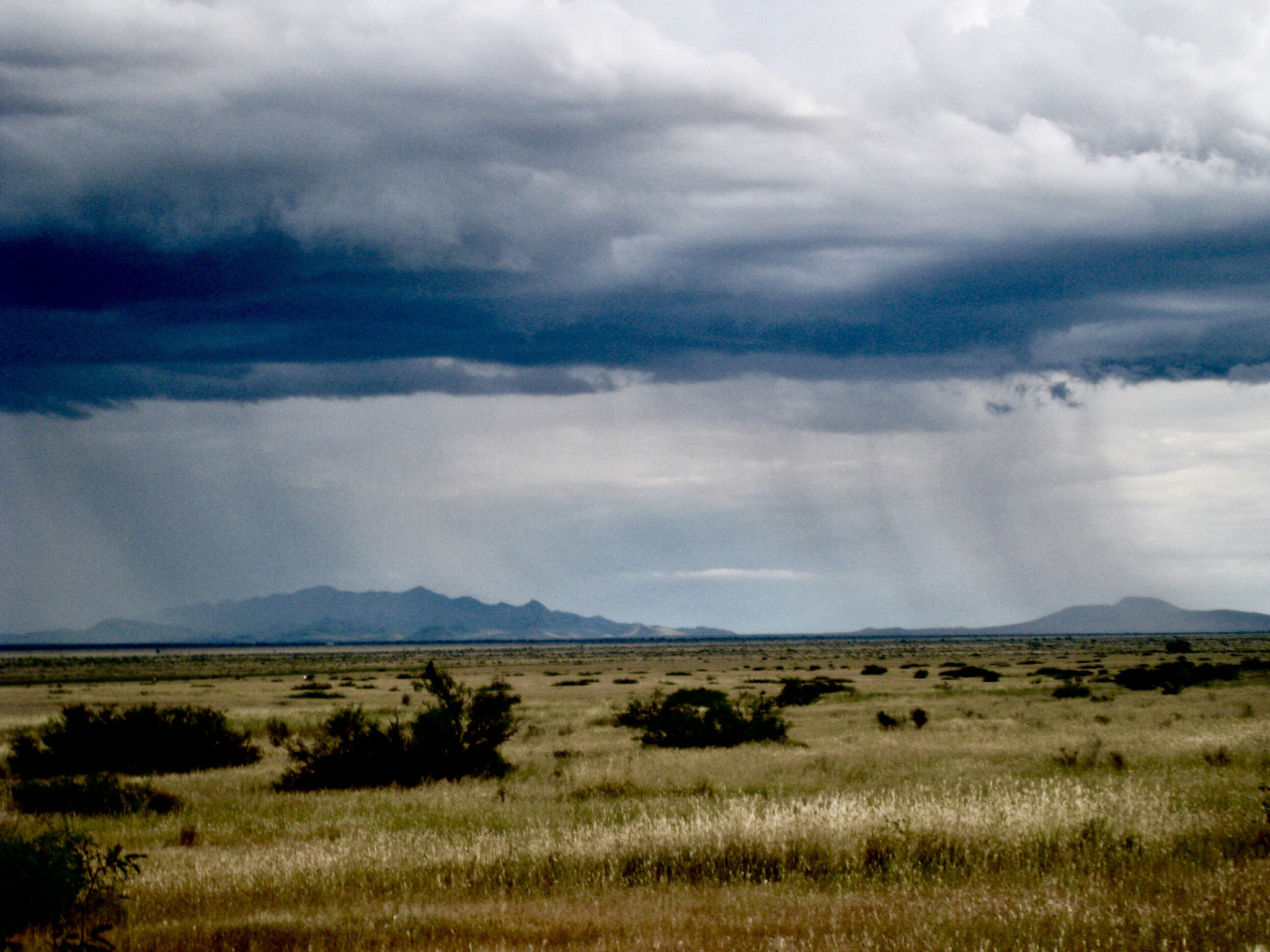 Canon POWERSHOT SD870 IS sample photo. September rain, cochise county, arizona 2008 photography