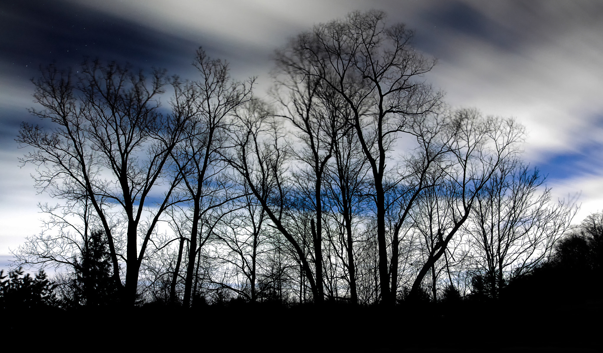 Sigma 24mm F1.4 DG HSM Art sample photo. Cold and windy photography