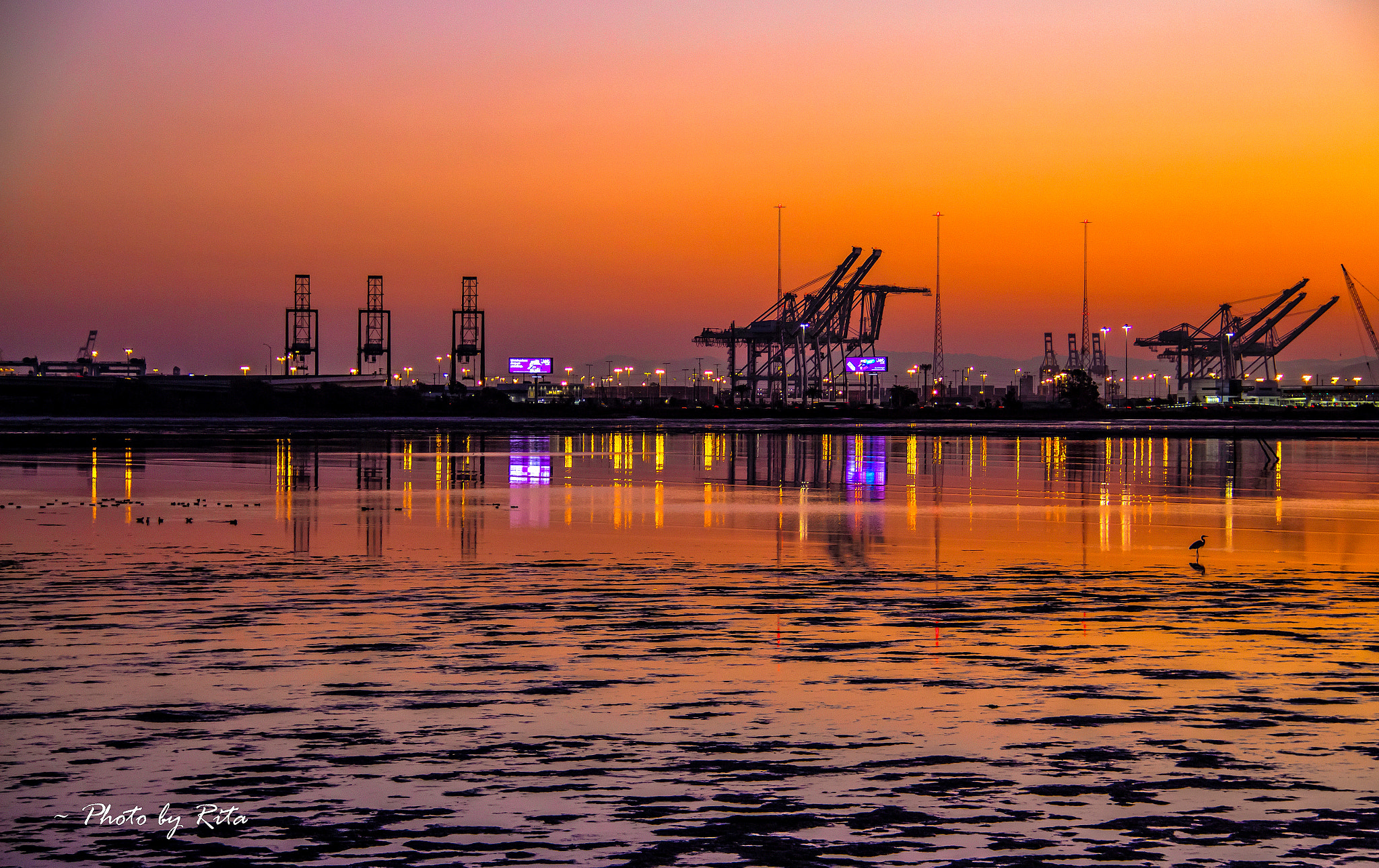 Canon EF-S 18-200mm F3.5-5.6 IS sample photo. Port of oakland photography