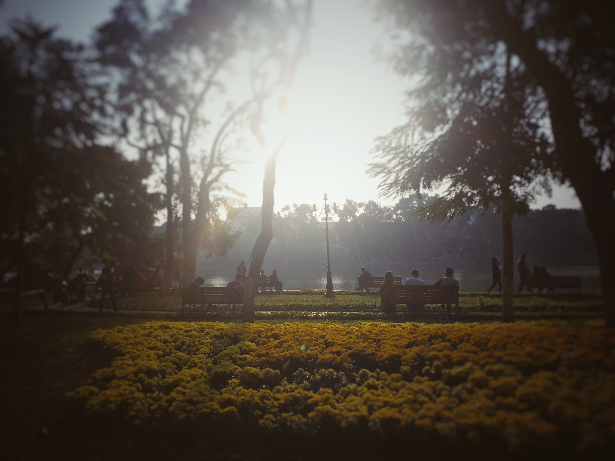 Samsung SM-G6100 sample photo. Flower garden, hanoi, vietnam photography