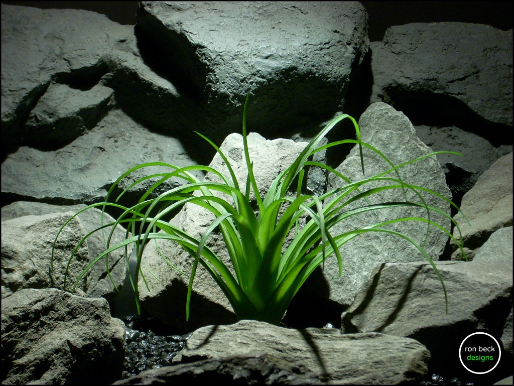 Nikon COOLPIX L11 sample photo. Plastic reptile plant: ponytail palm from ron beck photography