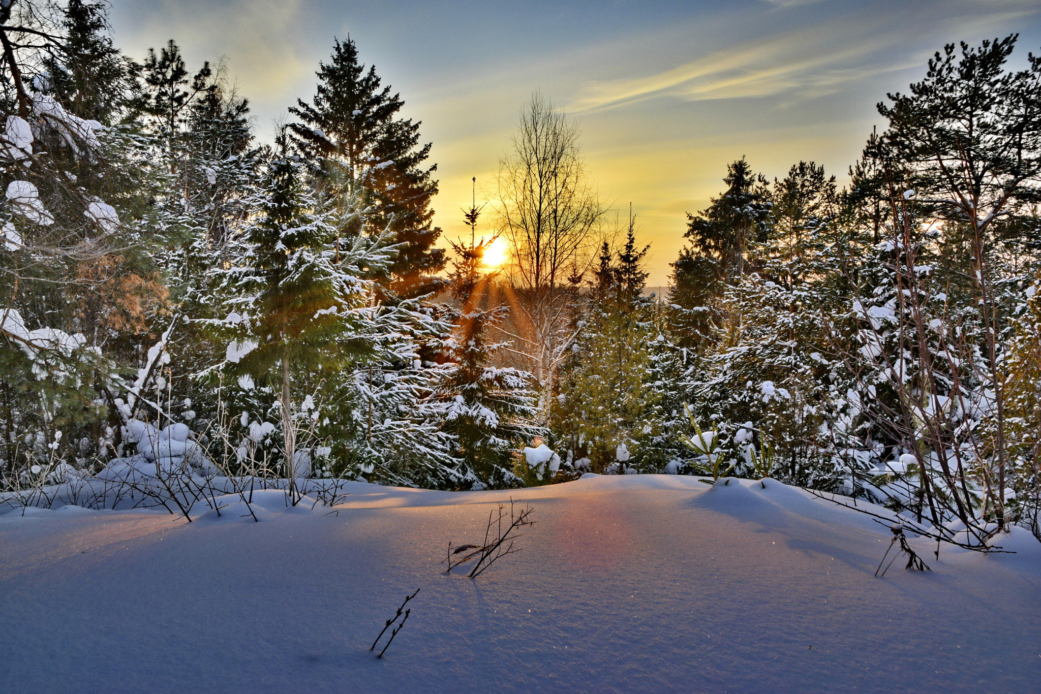 Sigma 17-70mm F2.8-4 DC Macro OS HSM | C sample photo. Закат в лесу sunset in a frost  photography
