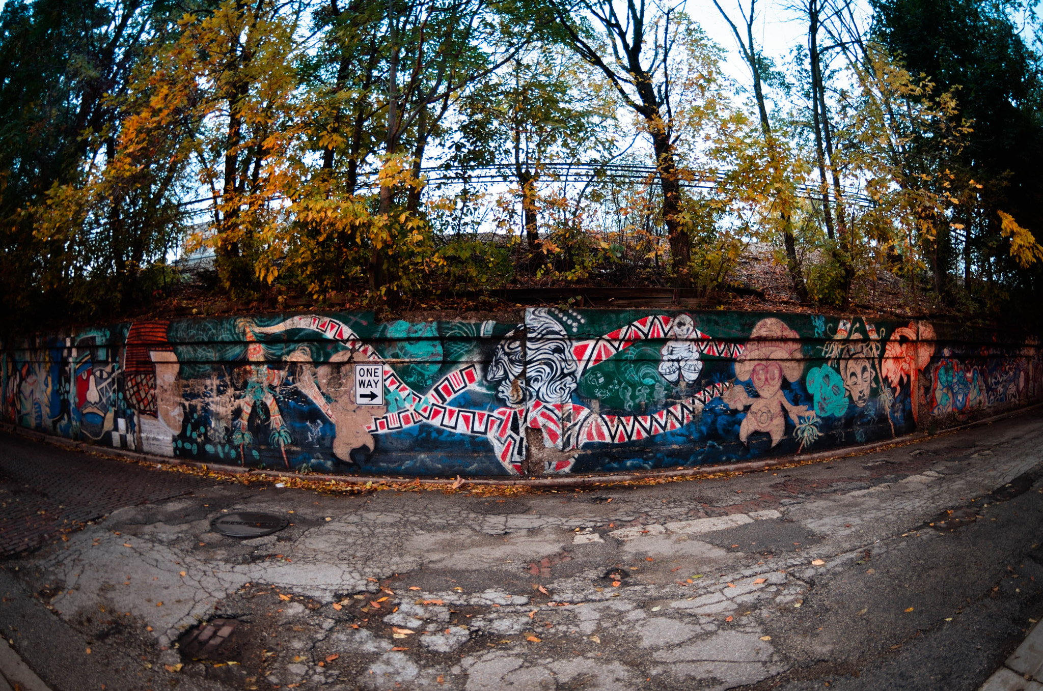 Nikon AF DX Fisheye-Nikkor 10.5mm F2.8G ED sample photo. Chicago, il photography