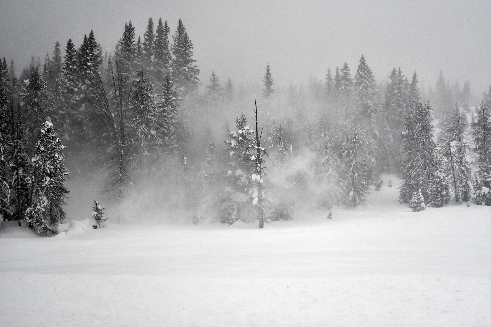 Nikon D3400 sample photo. Blizzard photography