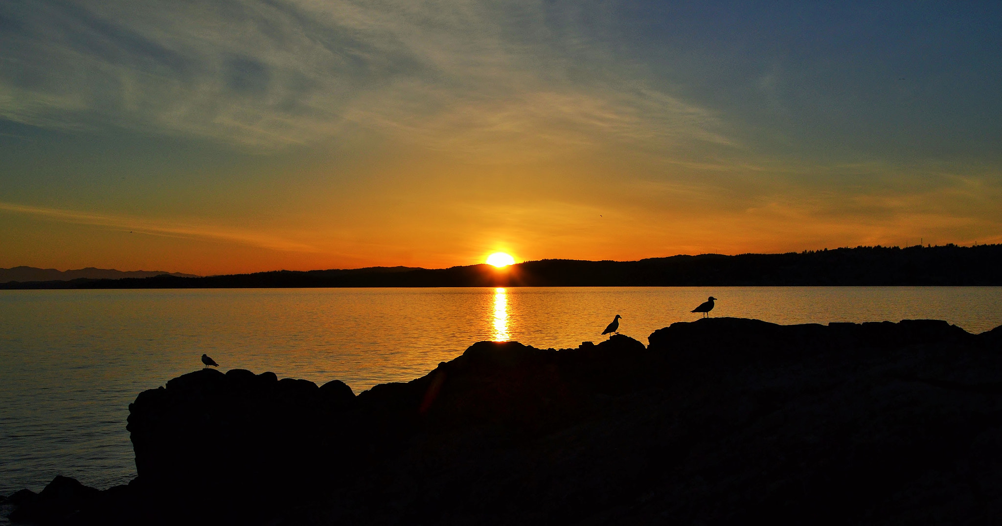 Nikon D3100 + Sigma 17-70mm F2.8-4 DC Macro OS HSM sample photo. Three feathered friends and a westcoast sunset photography