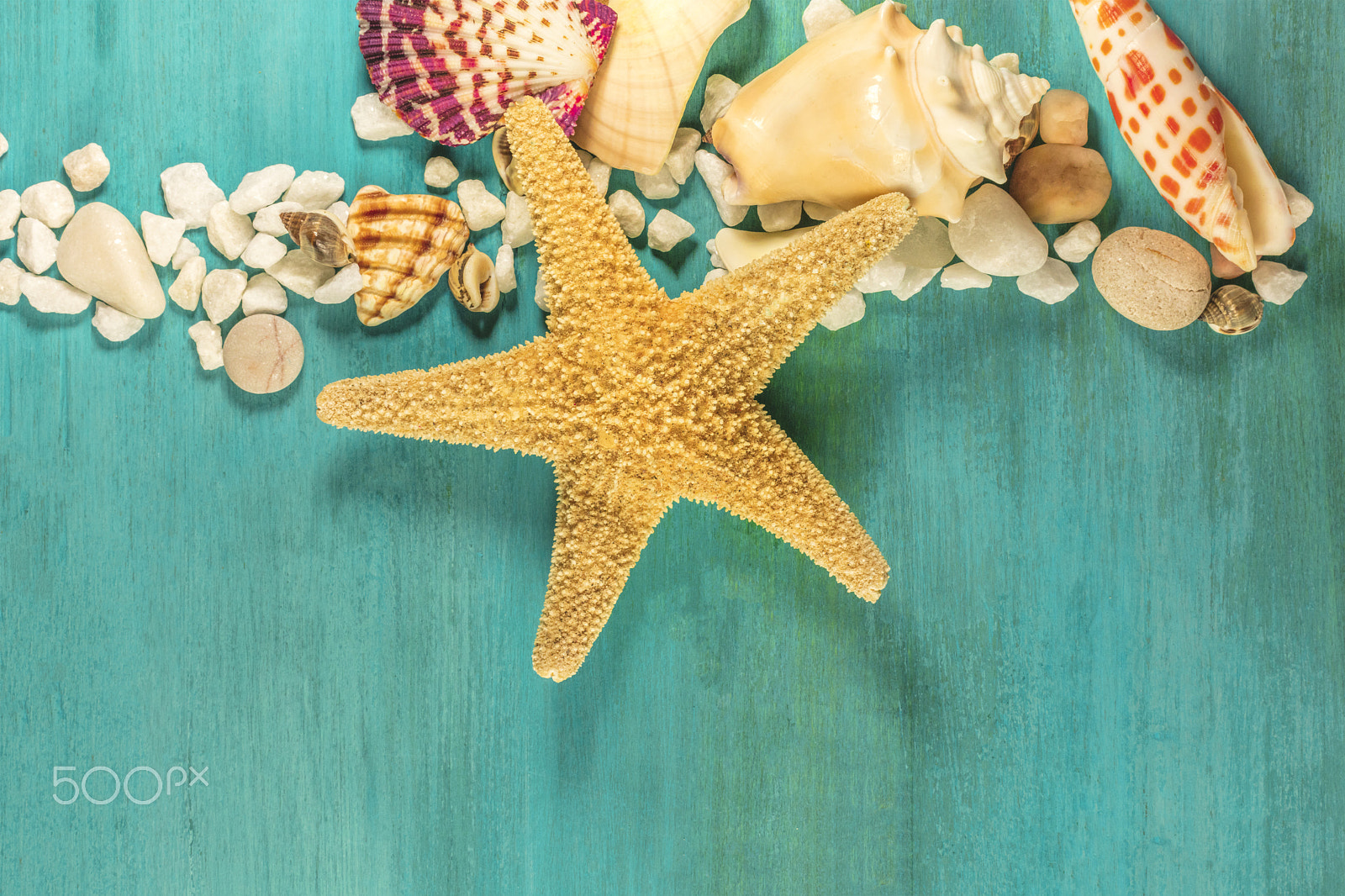 Canon EOS 5DS R sample photo. Starfish, shells, and pebbles on vibrant turquoise background photography