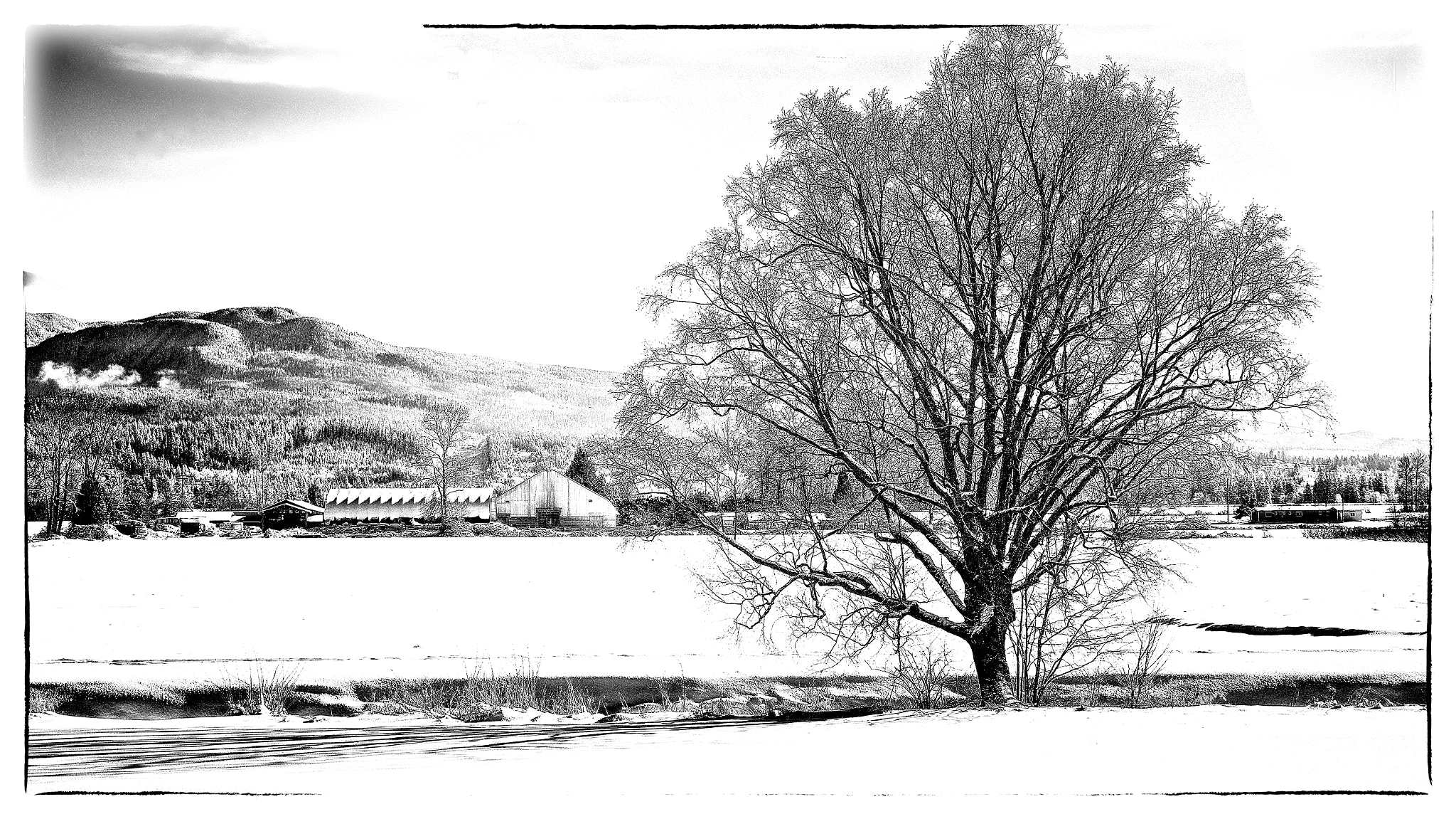 Pentax K-5 sample photo. Winter in the polder photography