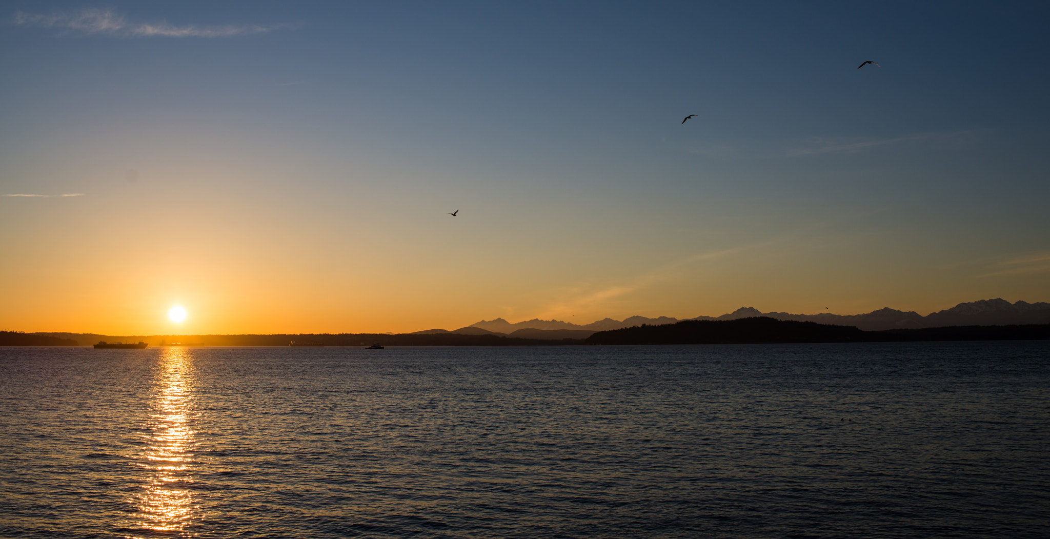 Nikon D610 + Nikon AF-S Nikkor 35mm F1.8G ED sample photo. Bay sunset #1 photography