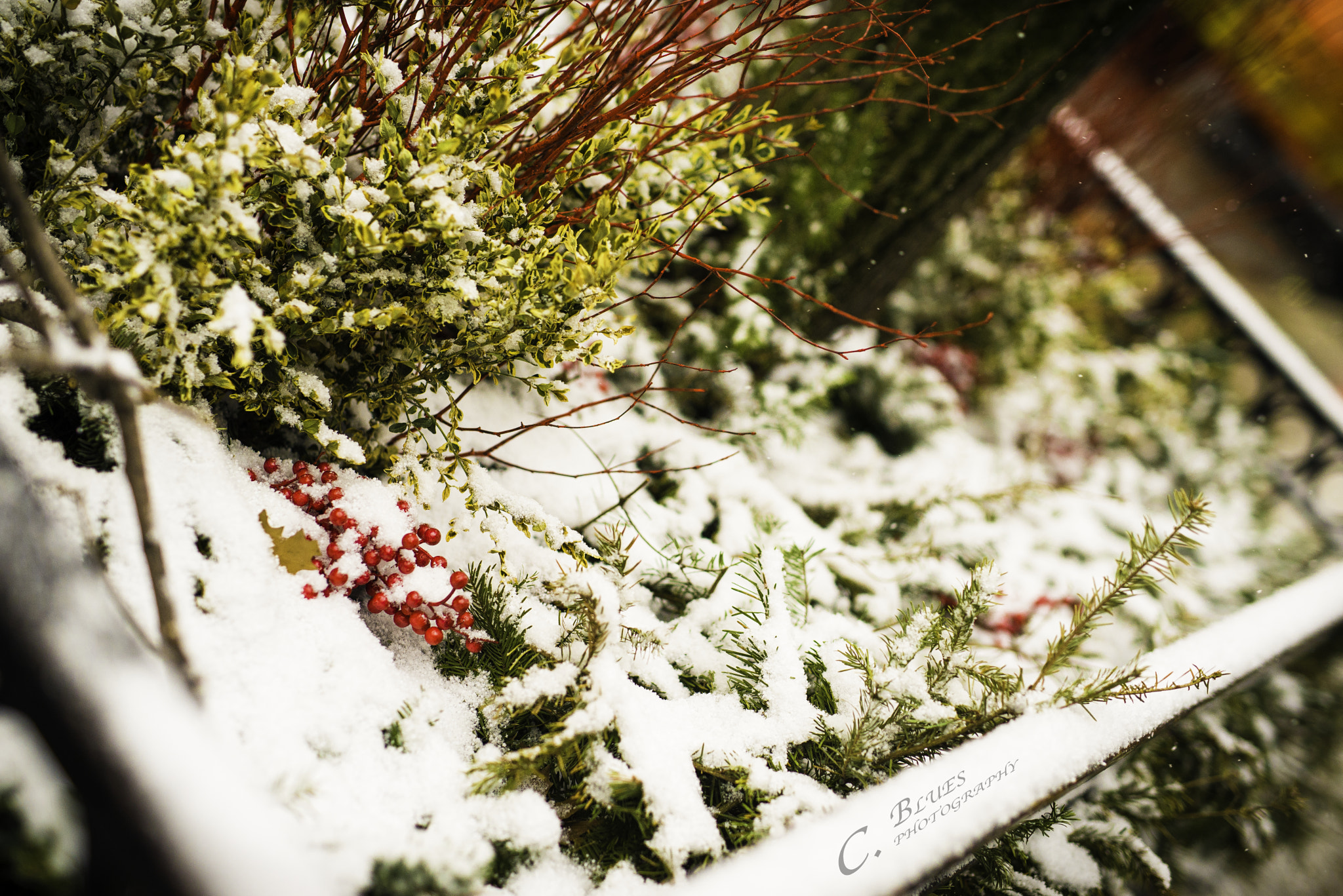 Nikon D610 + Sigma 50mm F1.4 DG HSM Art sample photo. Small snow world photography
