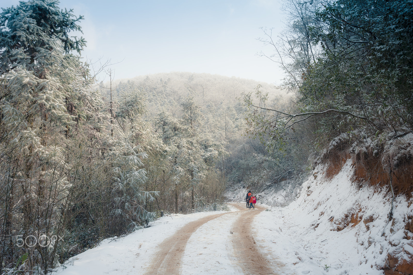 Nikon D700 sample photo. Walk in the snow photography