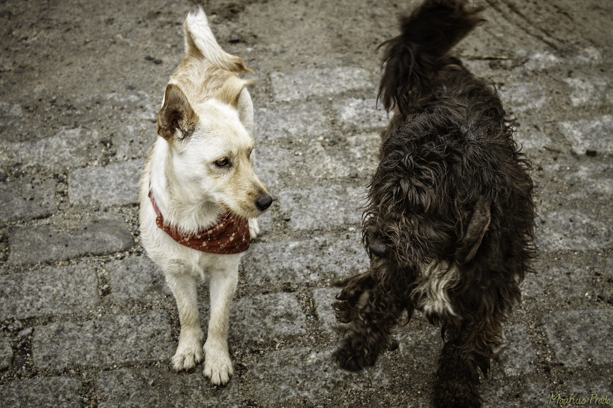 Canon EOS 50D sample photo. Are you mocking me bro???? photography