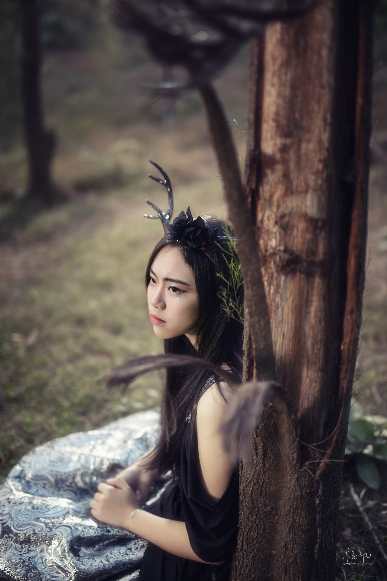 Sigma 50mm F1.4 EX DG HSM sample photo. 麓鸾 photography
