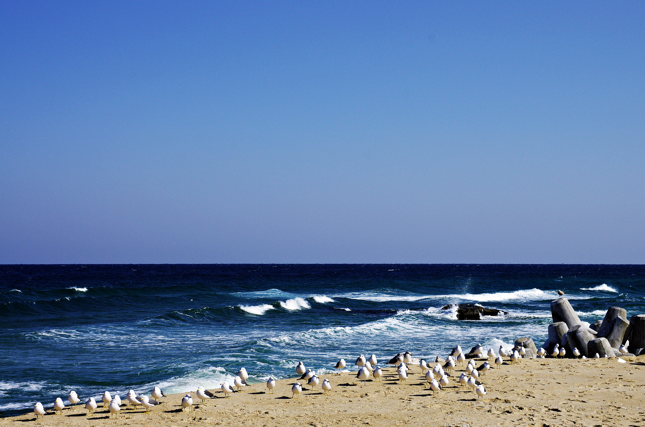 Pentax K-5 + Pentax smc DA 17-70mm F4.0 AL (IF) SDM sample photo. Winter sea photography