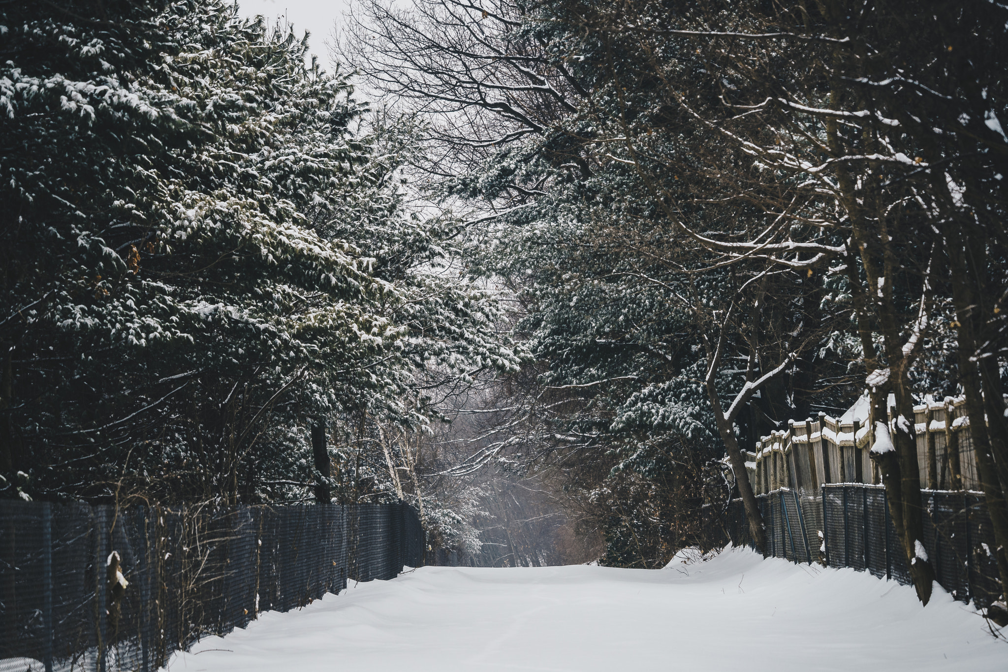 Sony FE 70-300mm F4.5-5.6 G OSS sample photo. I love what i do. photography