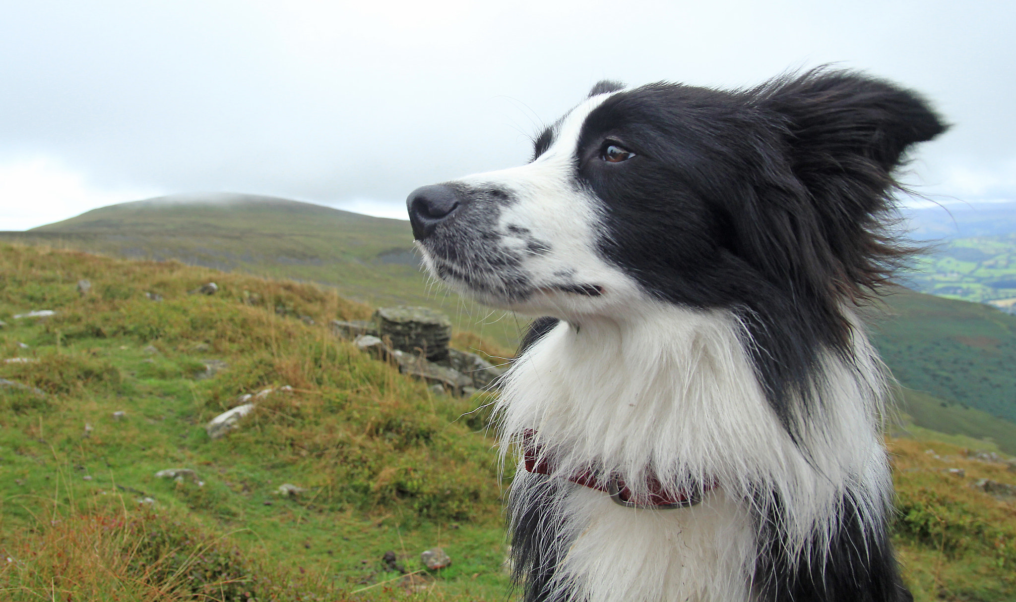 Canon EOS 60D + Sigma 18-50mm f/2.8 Macro sample photo. Floss and the mountain photography