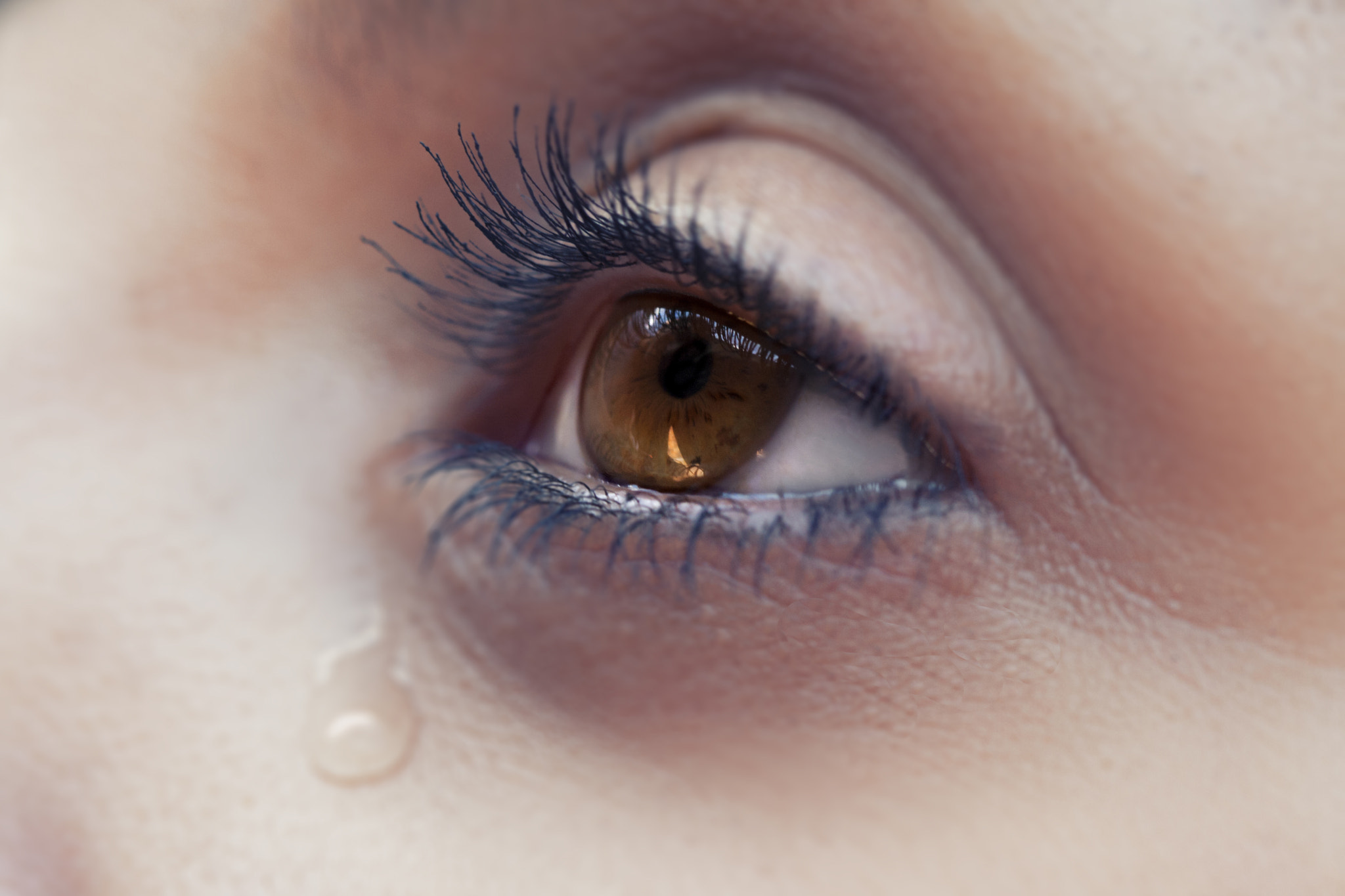 Canon EF 100mm F2.8 Macro USM sample photo. The eye of cryng female photography