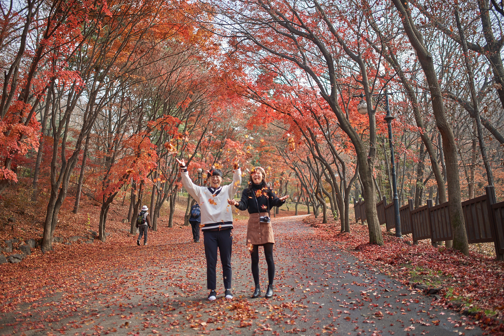 35mm F1.4 sample photo