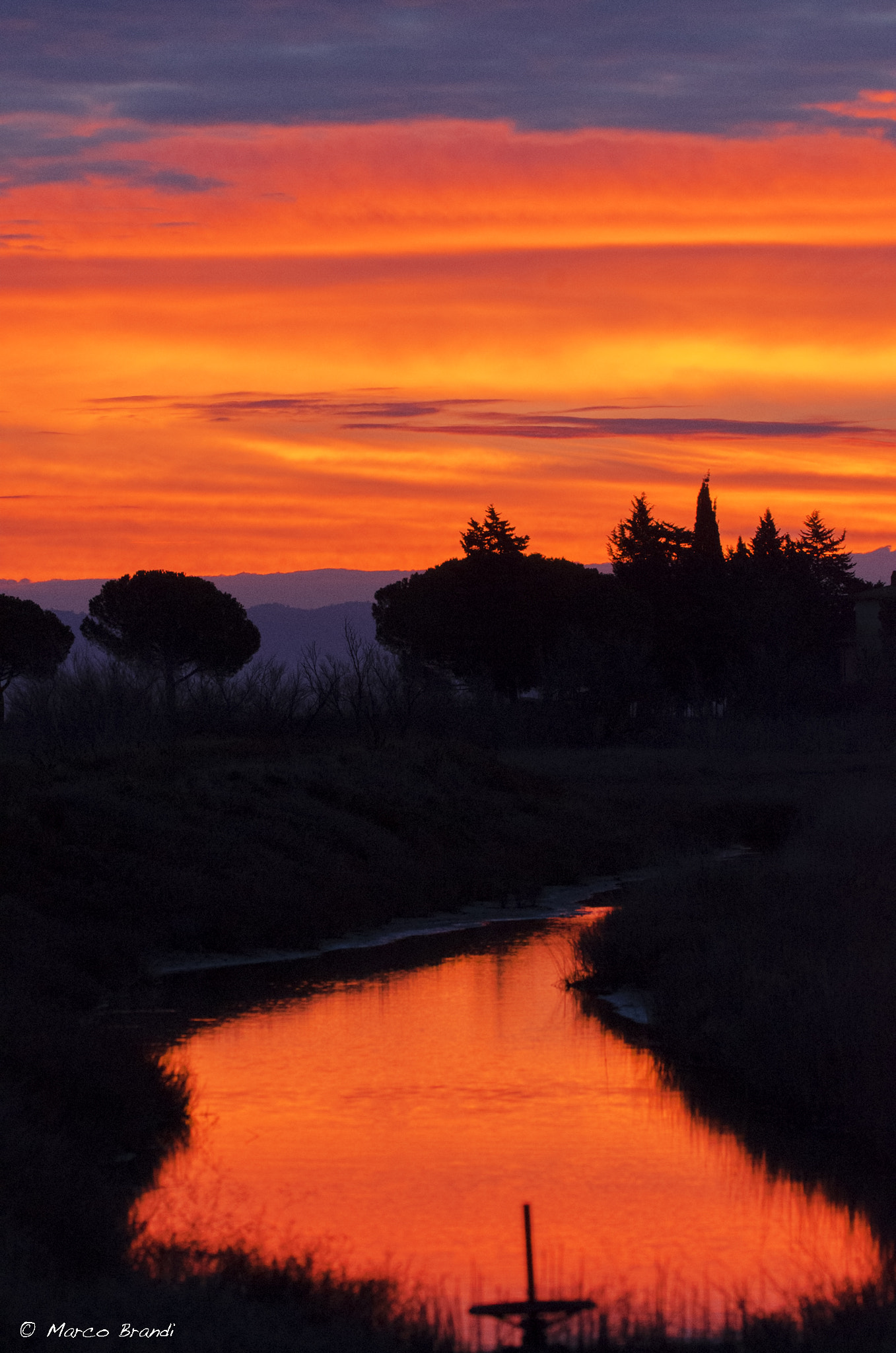 Sigma 150-600mm F5-6.3 DG OS HSM | S sample photo. Alba - sunrise photography