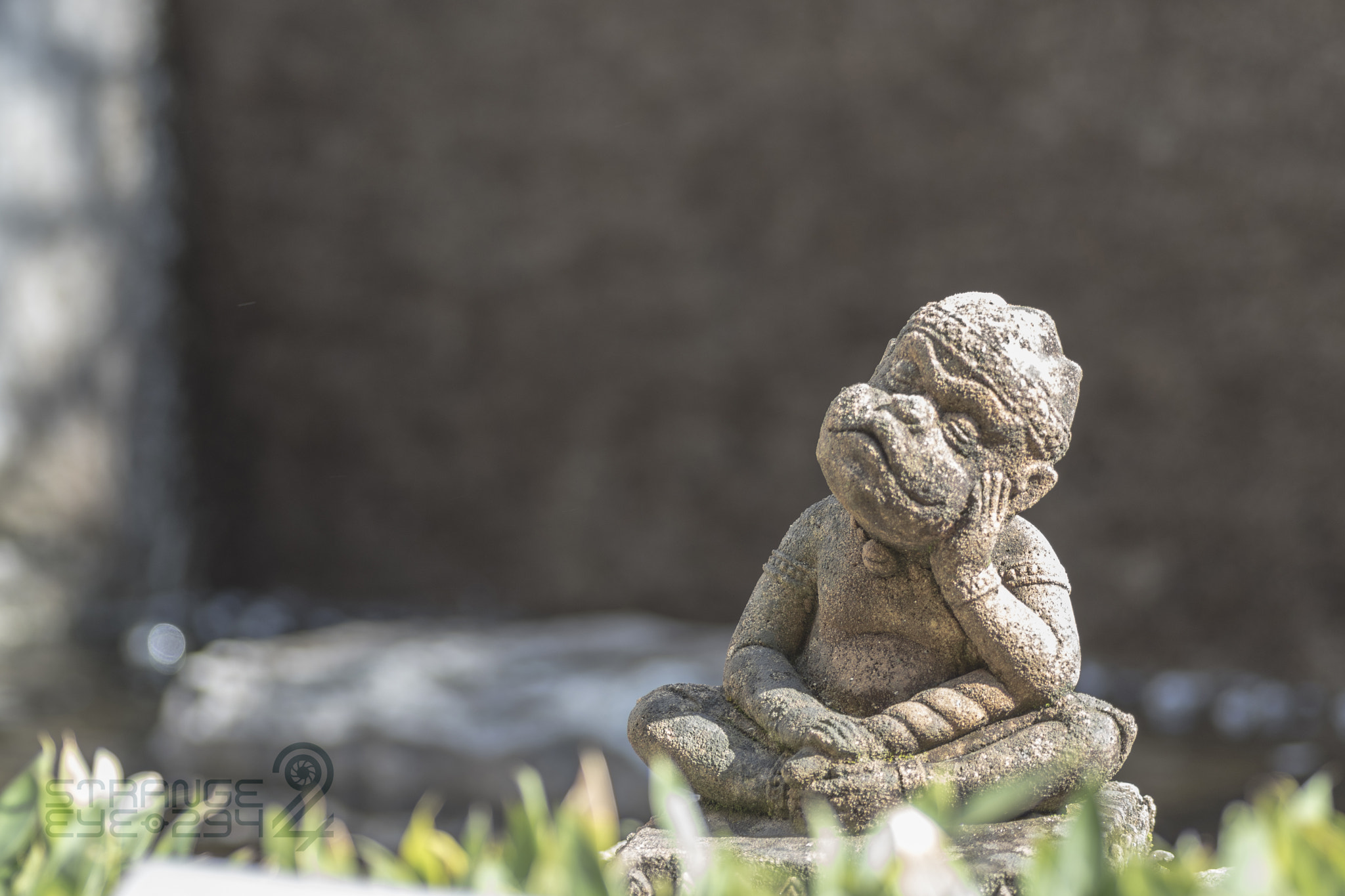 Nikon D5500 sample photo. Thinking photography