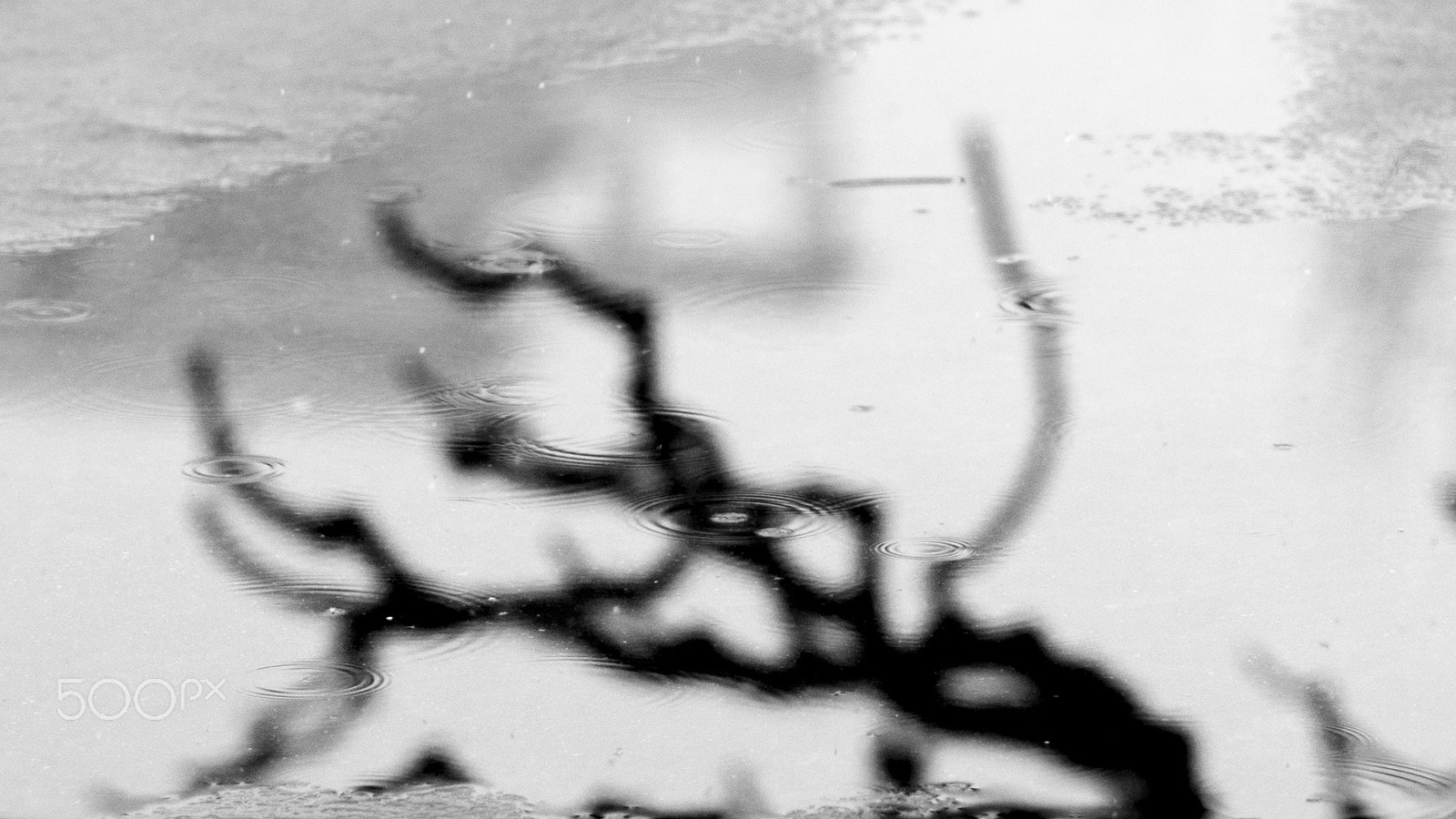 Sony Planar T* 85mm F1.4 ZA sample photo. Wood and snow photography