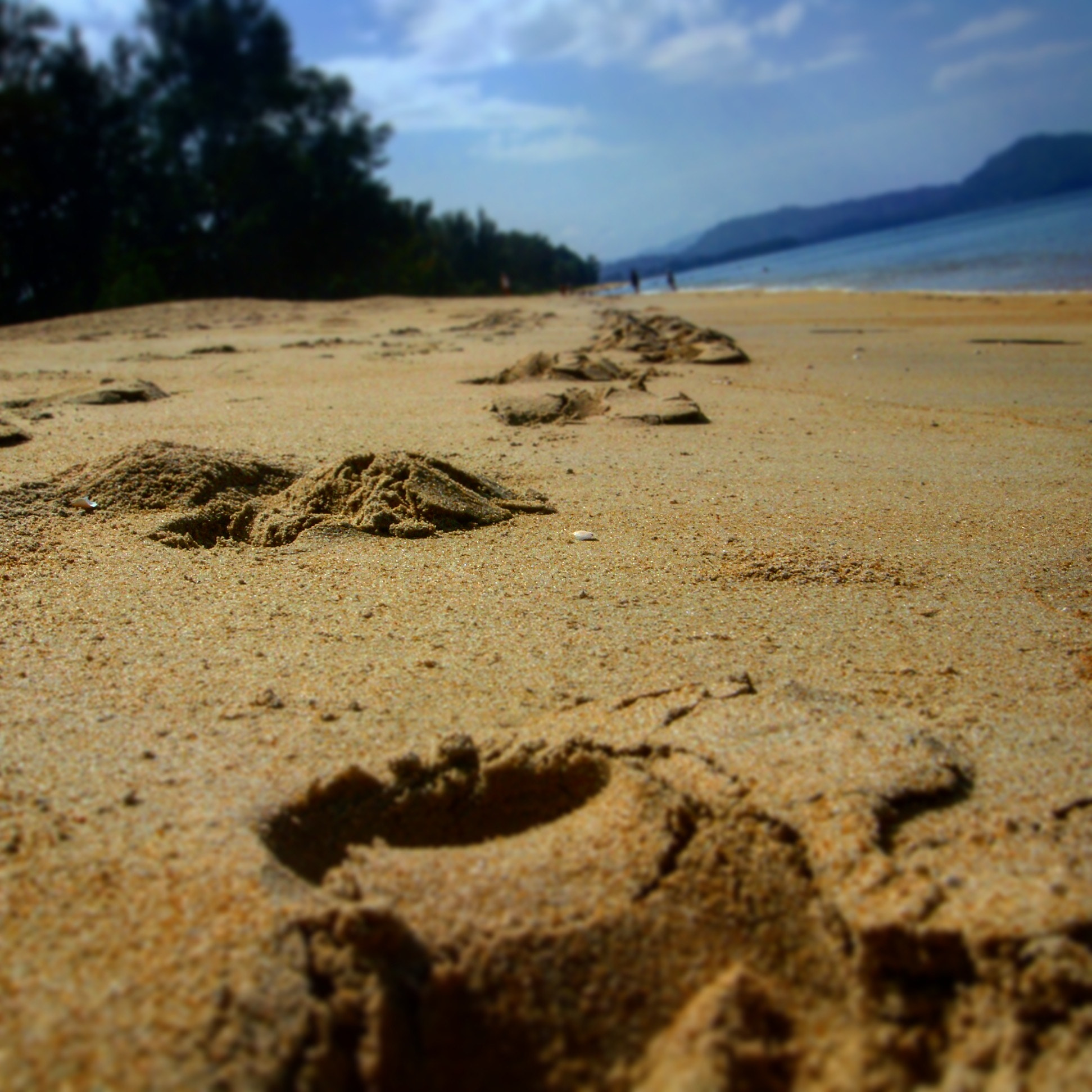 Sony DSC-T77 sample photo. Leave your mark on the sands of time photography