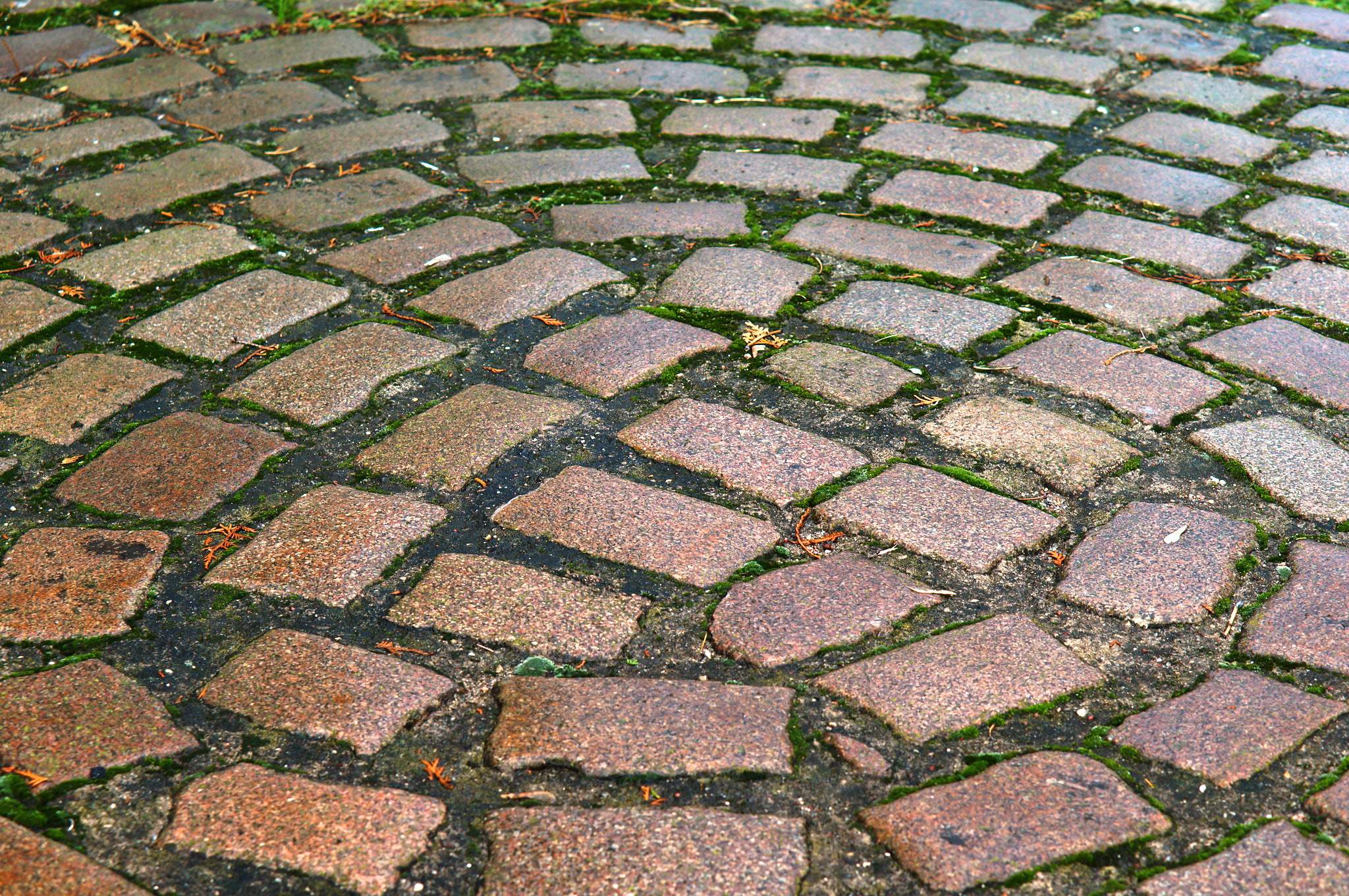 Sony Alpha NEX-3N + E 50mm F1.8 OSS sample photo. Bricks, buildings, pavers photography